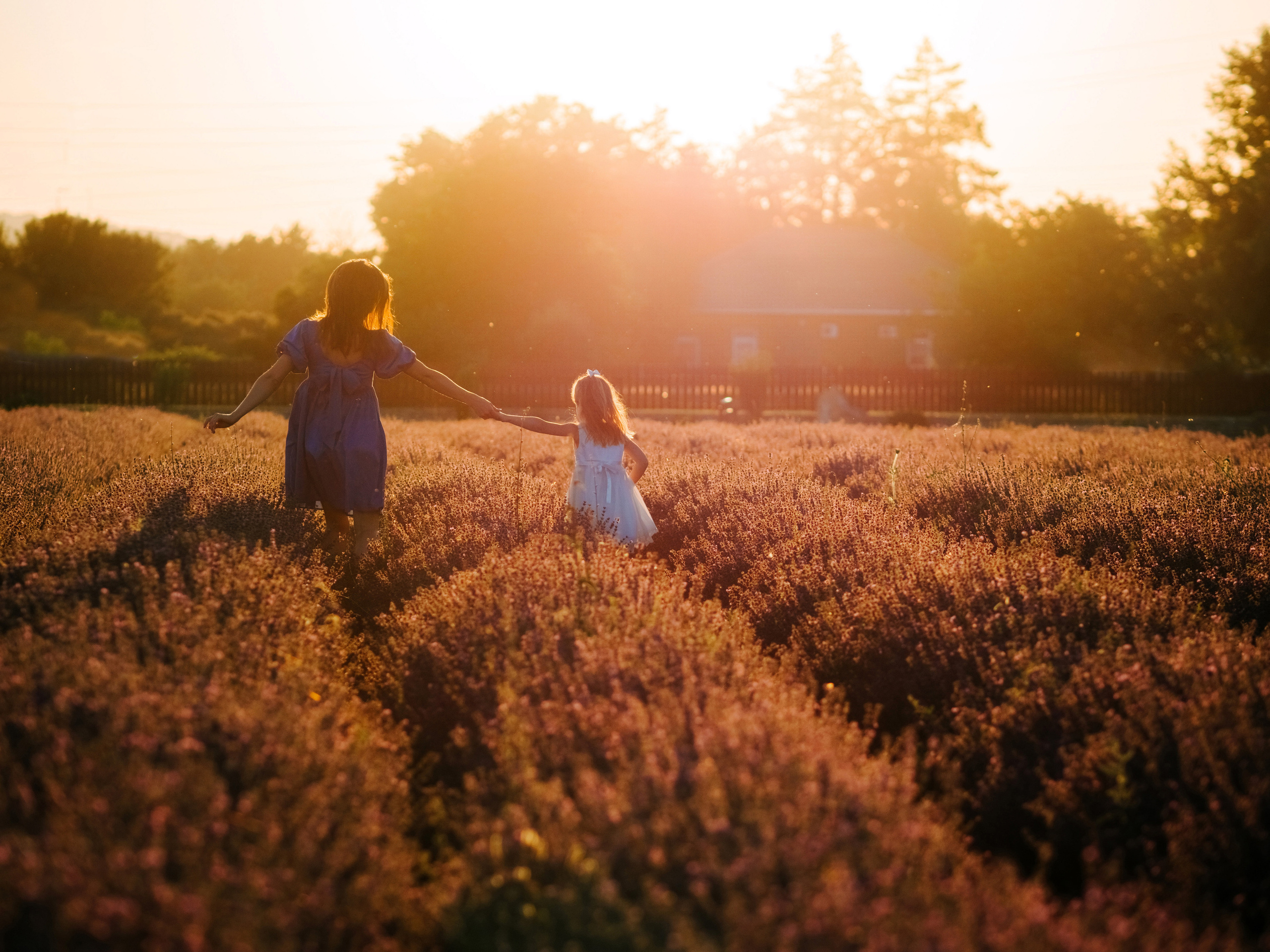 Снимаю с душой! Фотограф Ломакина Юлия. Анапа. 89618282827. Семейный, детский, свадебный, фотограф в городе Анапа