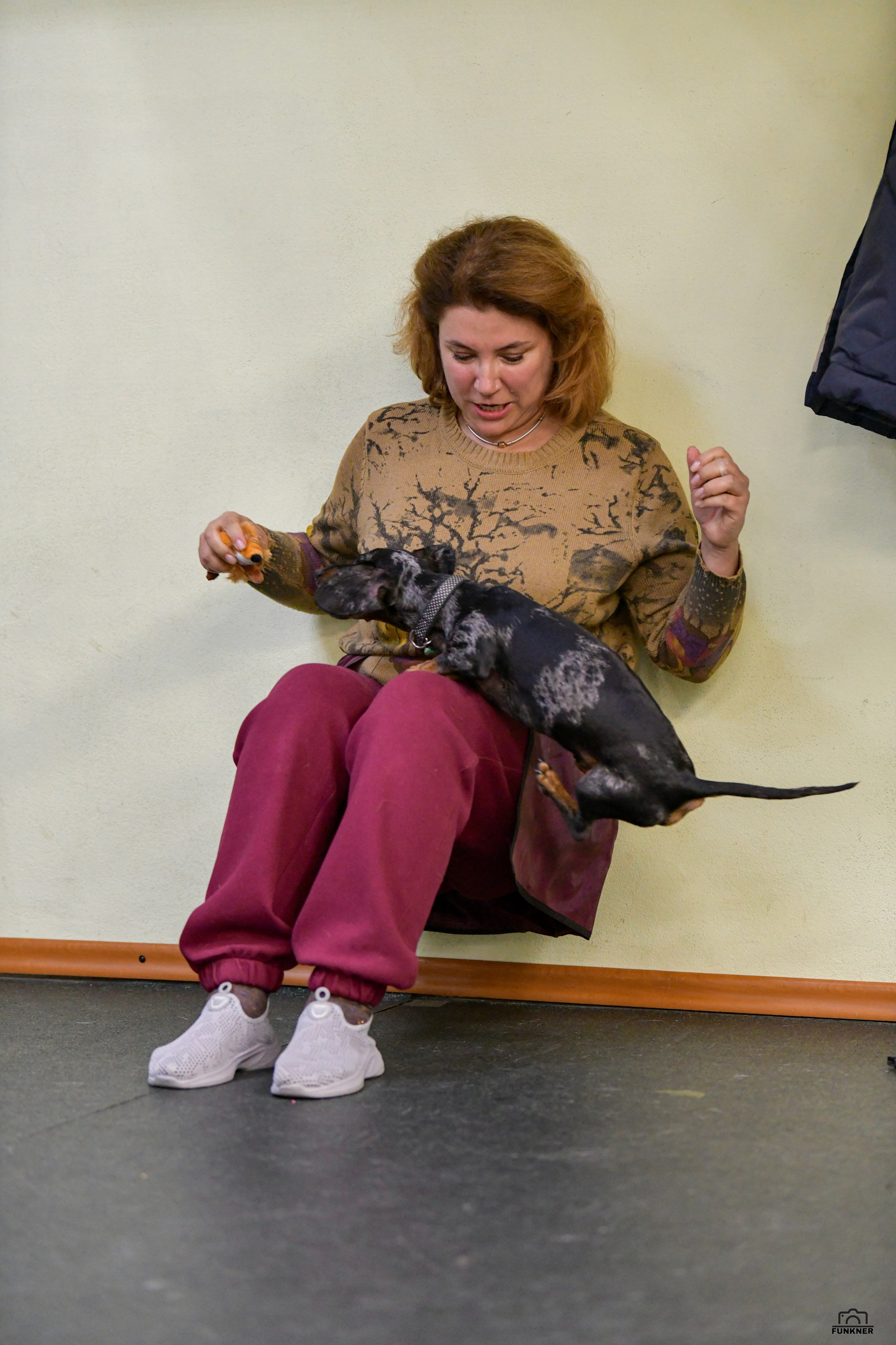 Кинологический клуб «Бодрый хвост». Свой взгляд через объектив