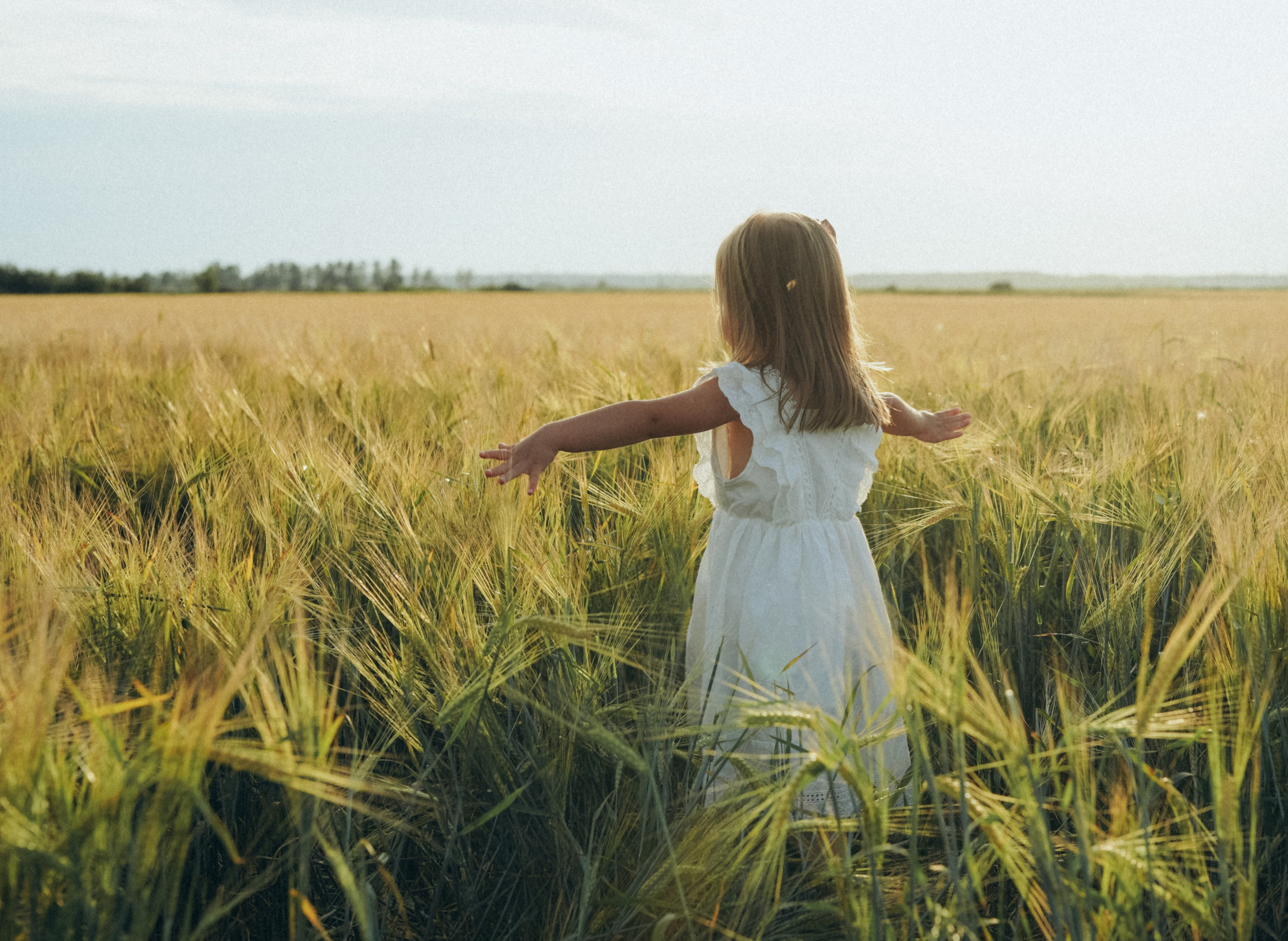 Пшеничное поле. Семейный и женский фотограф в Санкт-Петербурге Татьяна Стружкина