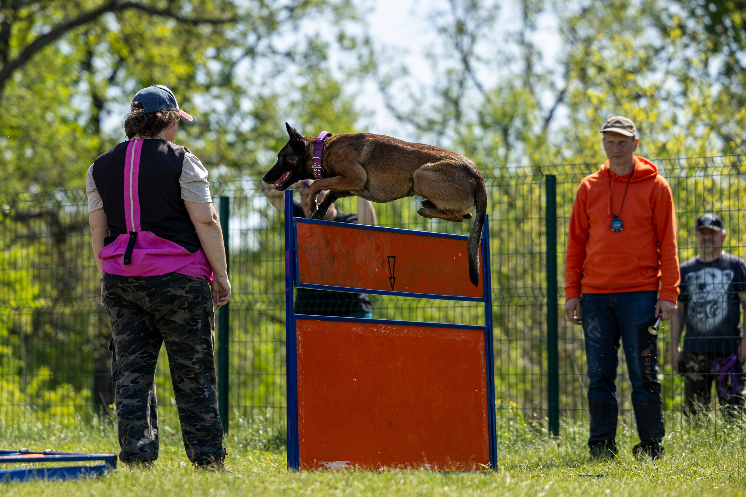 Испытания по мондьорингу в Нижнем Новгороде. Фотограф-анималист Анна Маринич