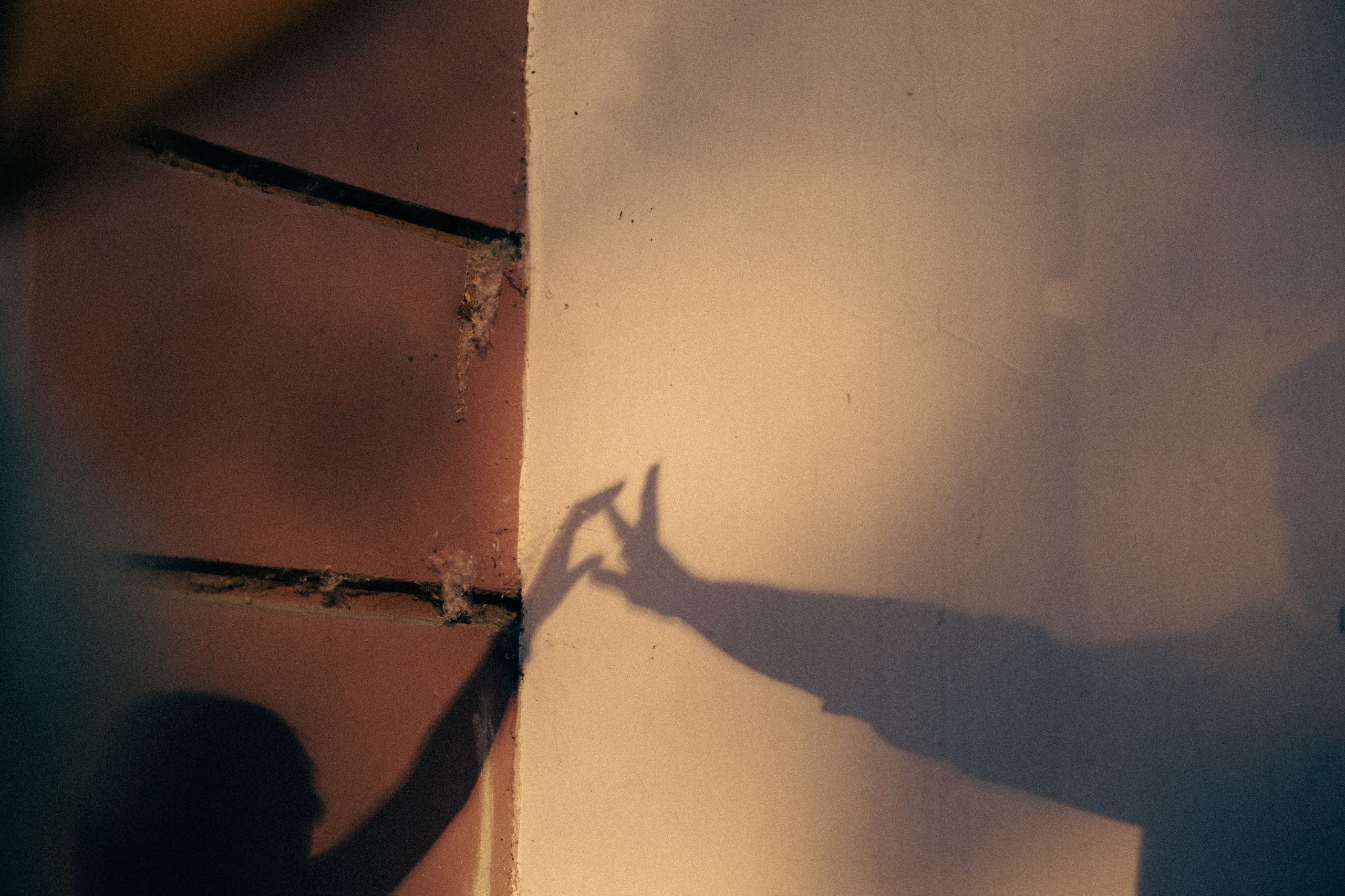 Лето в городе. Daria Chigintseva Photographer