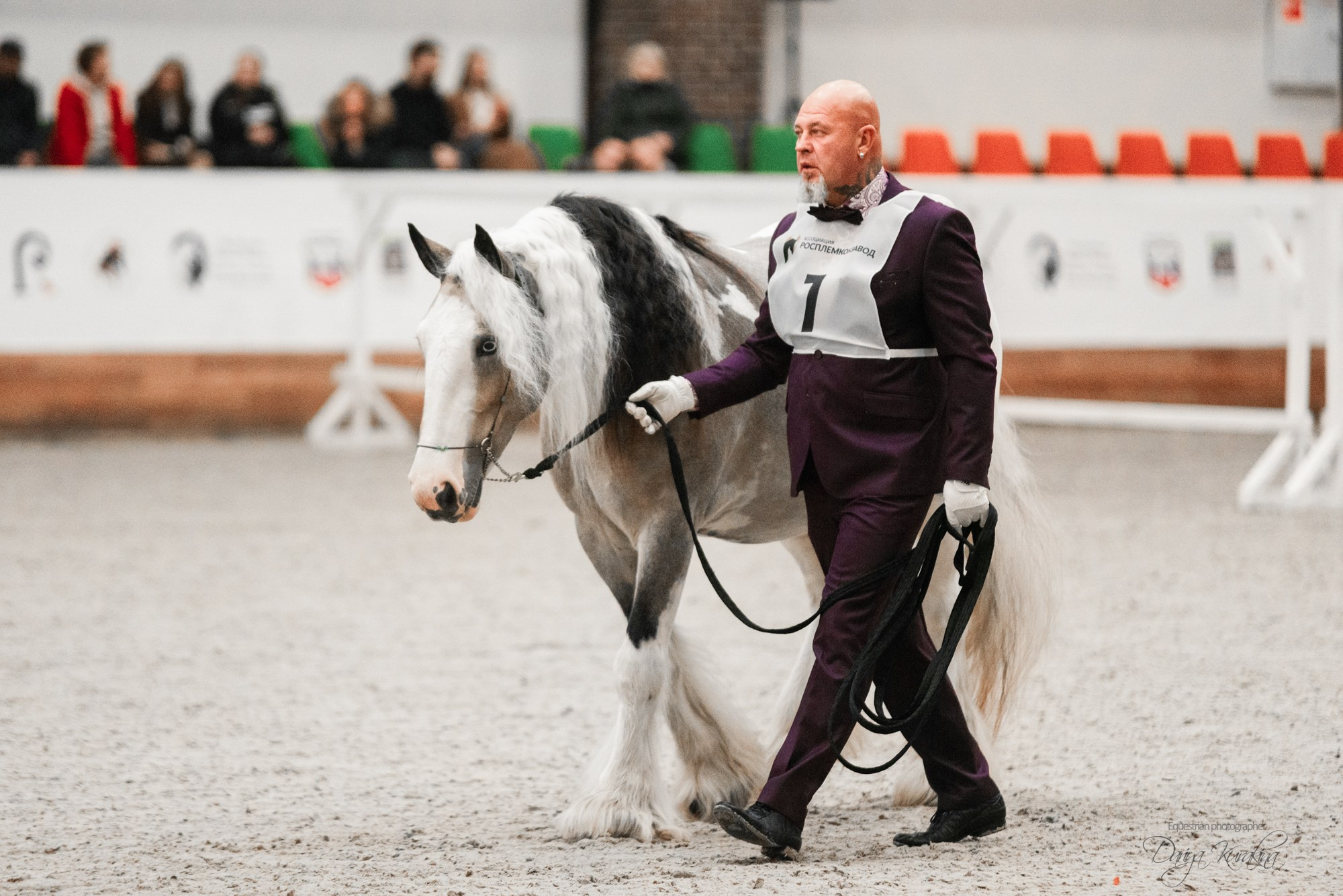 8-я международная выставка Конная Россия. Конный фотограф Куракина Дарья • Фотосессии с лошадьми