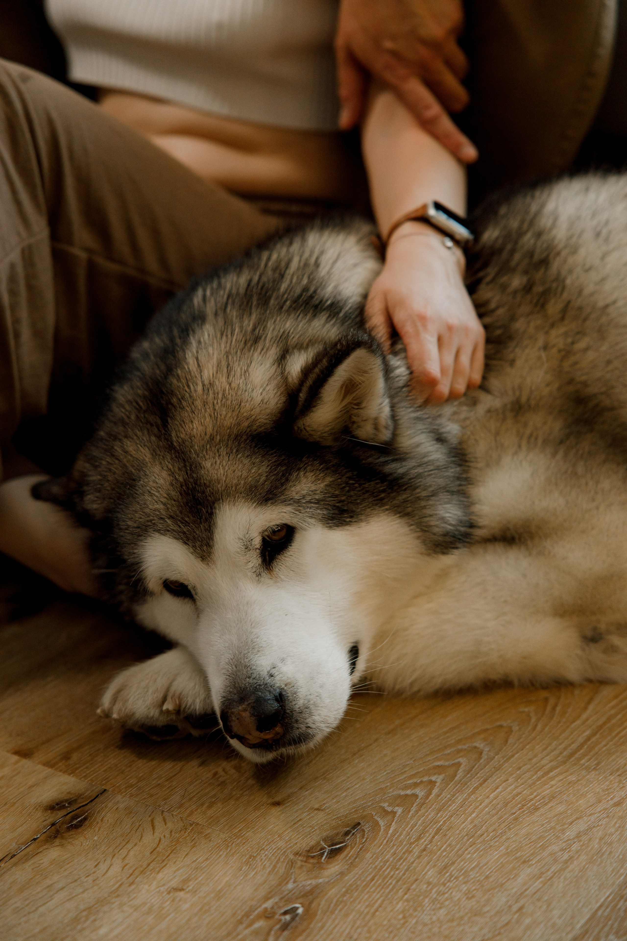 Лев 2 годика. Свадебный и семейный фотограф  во Владивостоке Ольга Украинец