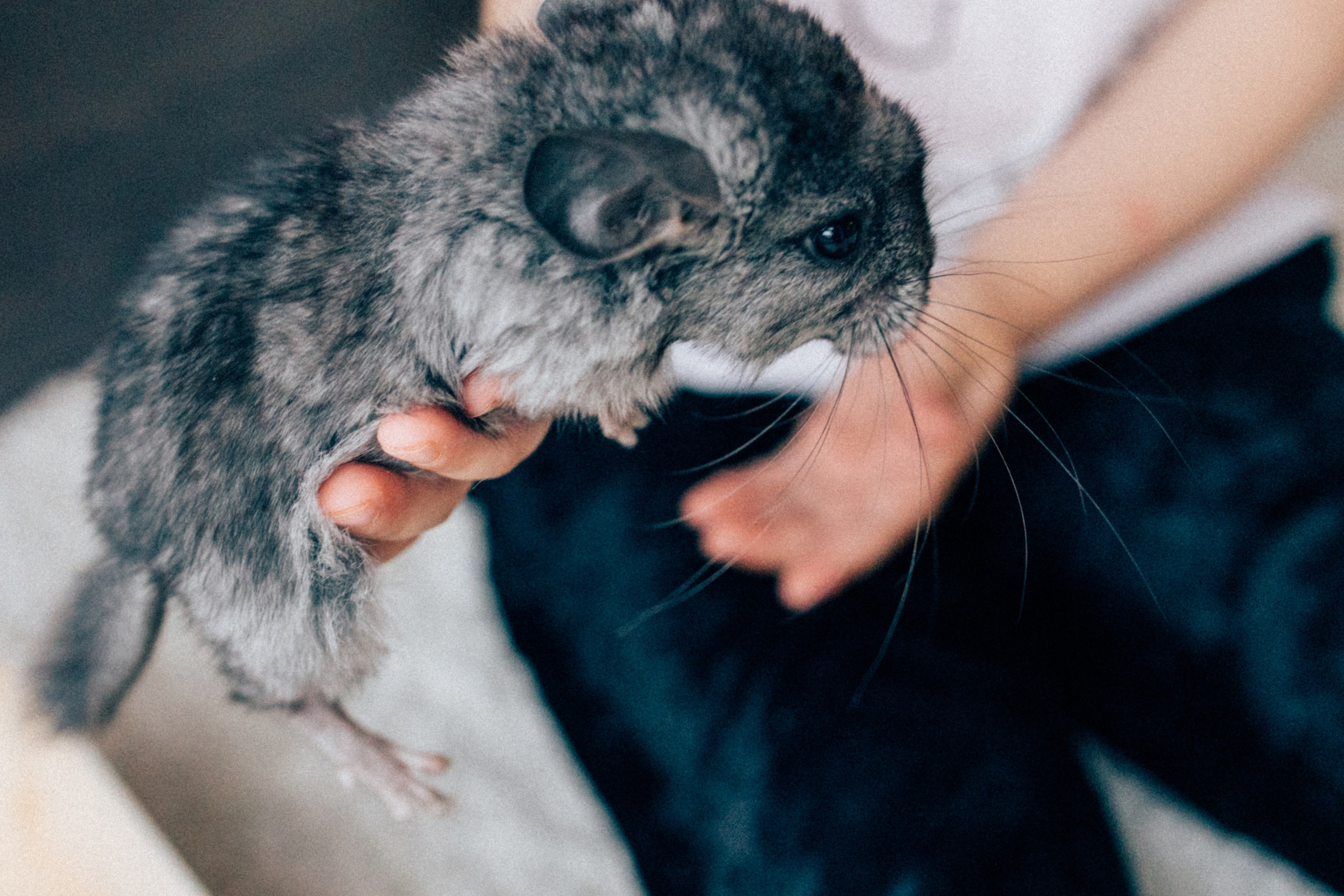 Lifstyle Фролкины. Семейный, женский и детский фотограф Татьяна Колобаева