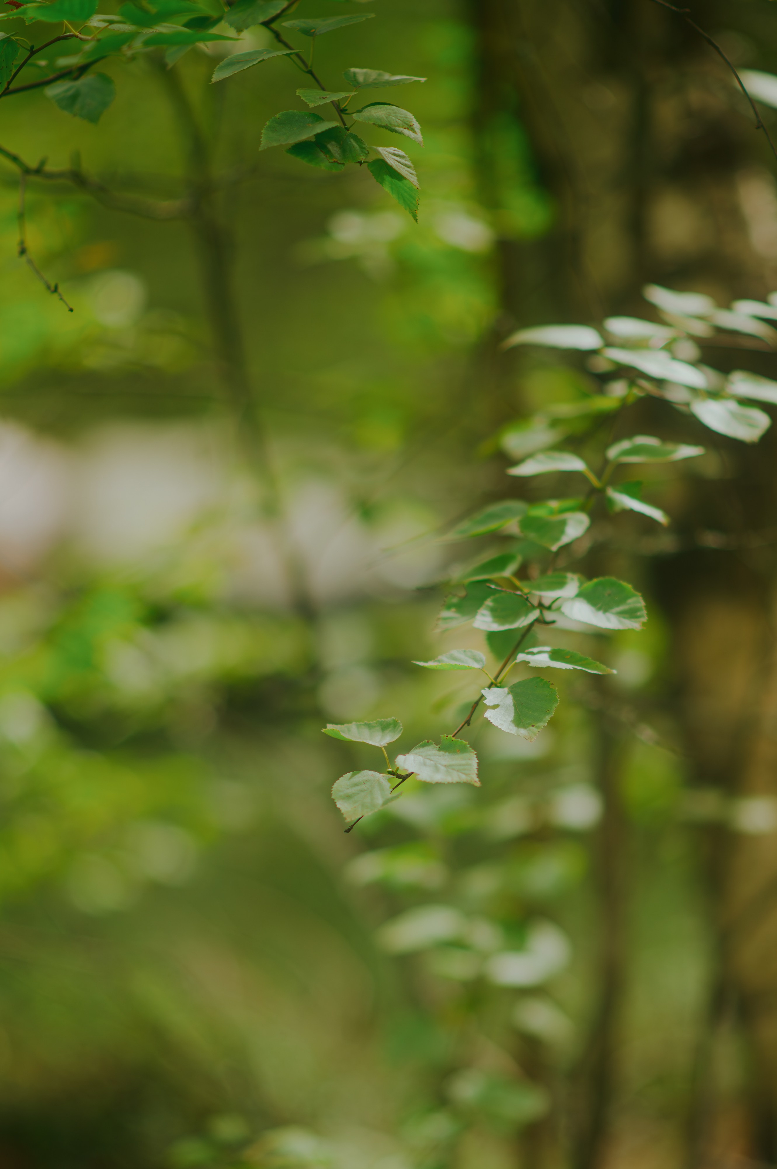 METADREAMS 2025. Контент фотограф Илья Урс