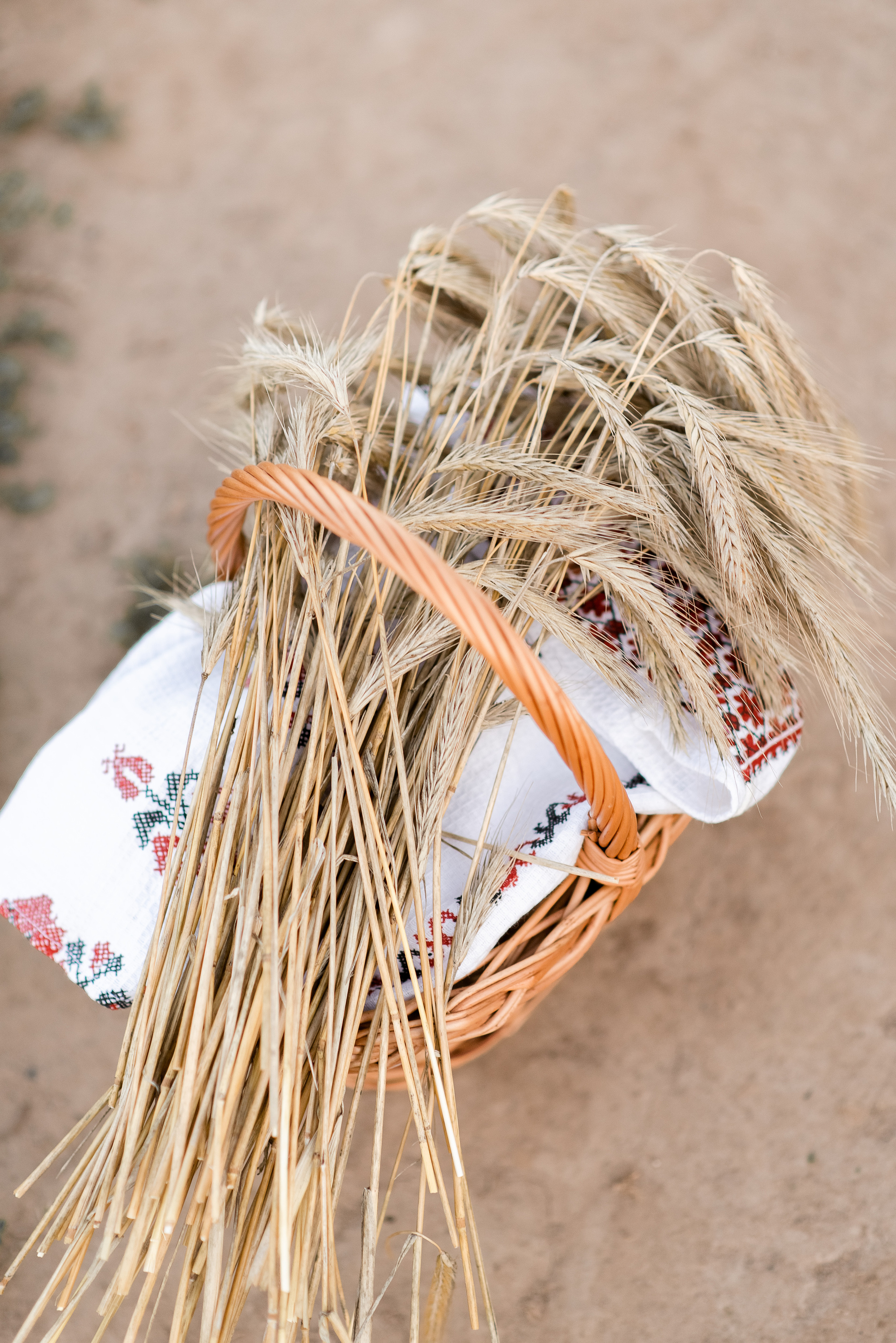 Детские портреты. Автор — Светлана Кропочева. Детский и семейный фотограф в Йошкар-Оле Светлана Кропочева