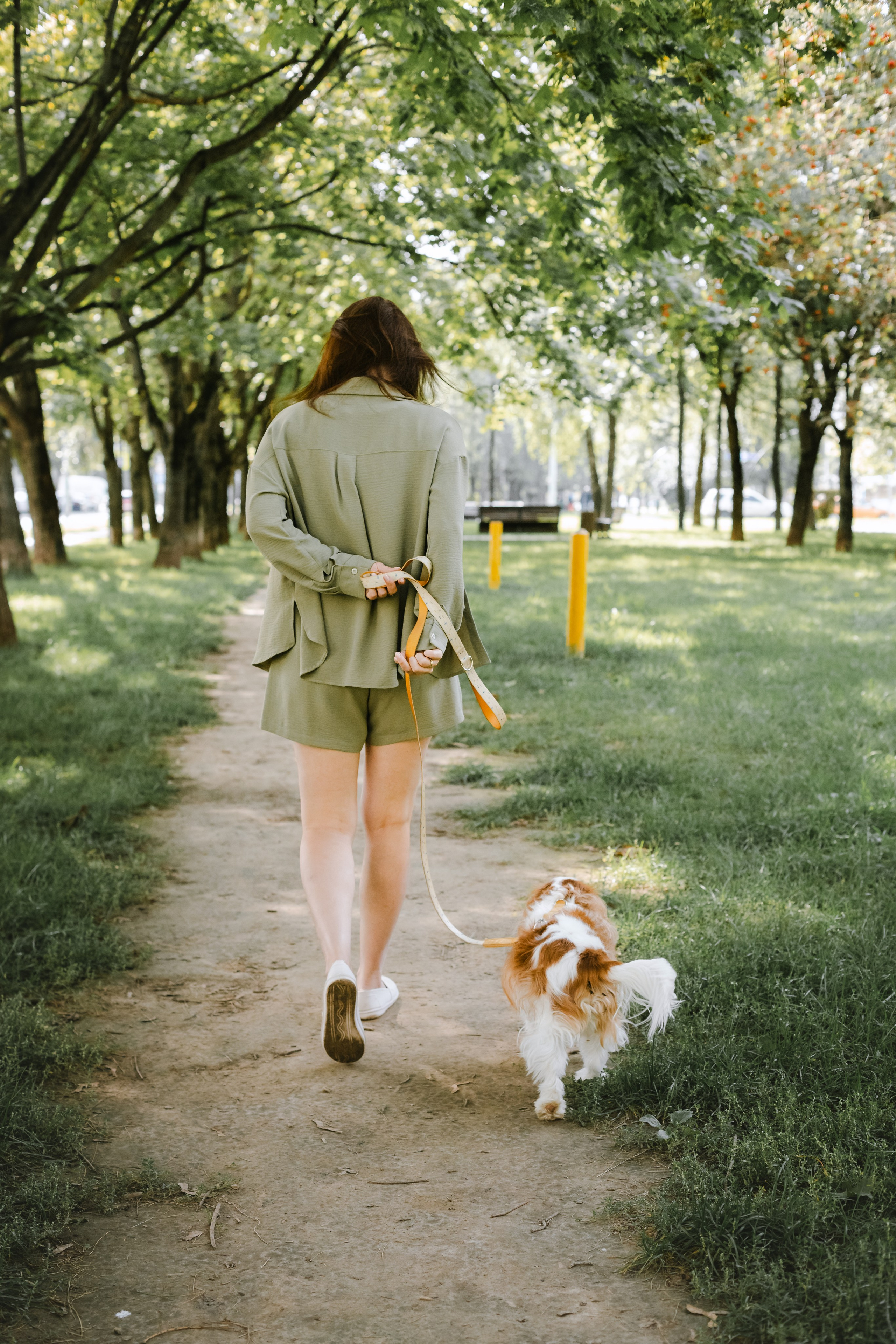 Фотопрогулка на бульваре. Фотограф-анималист Татьяна Степанова