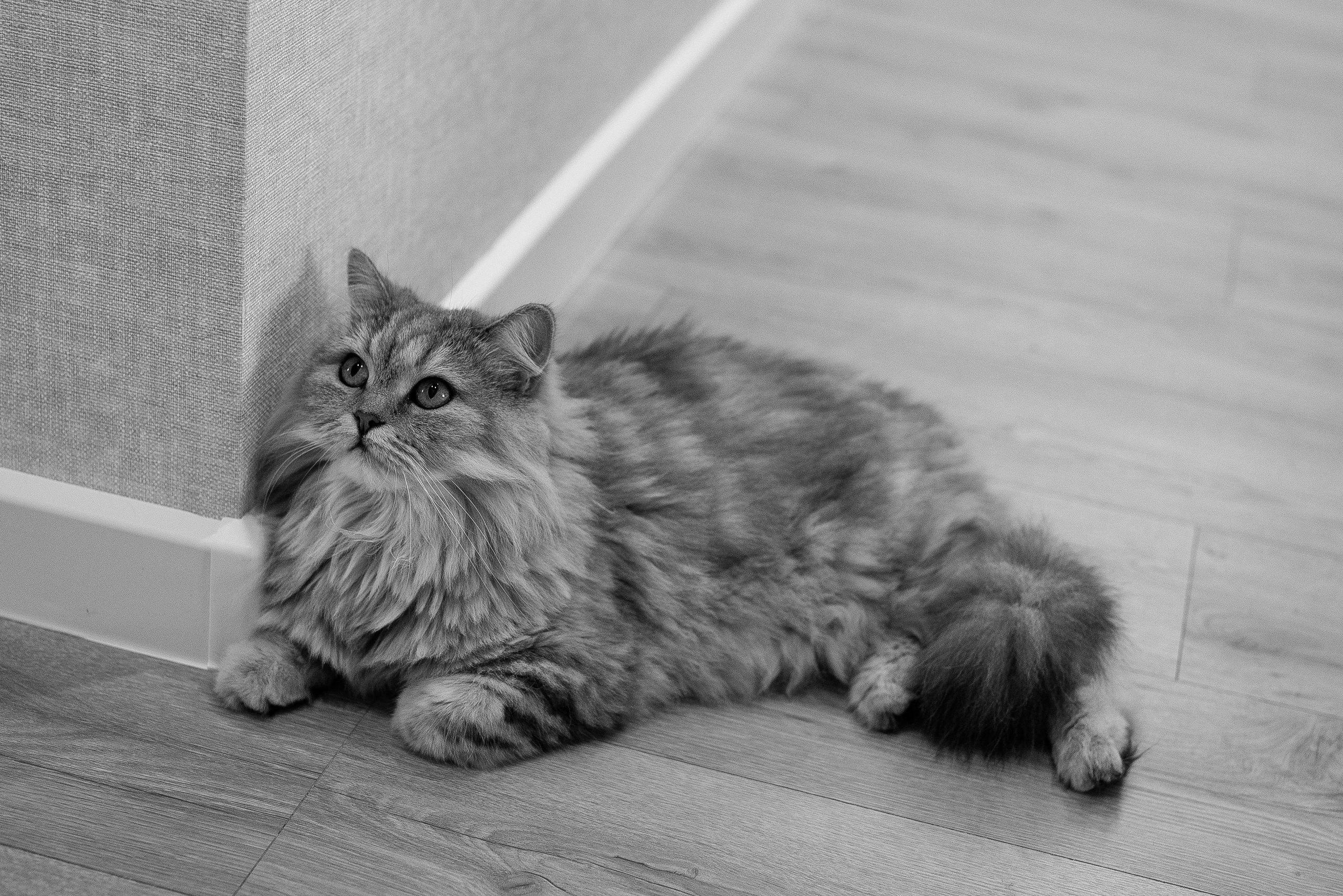 Агата 1 годик. Фотограф новорождённых и семейный фотограф в Иваново Любовь Капранова