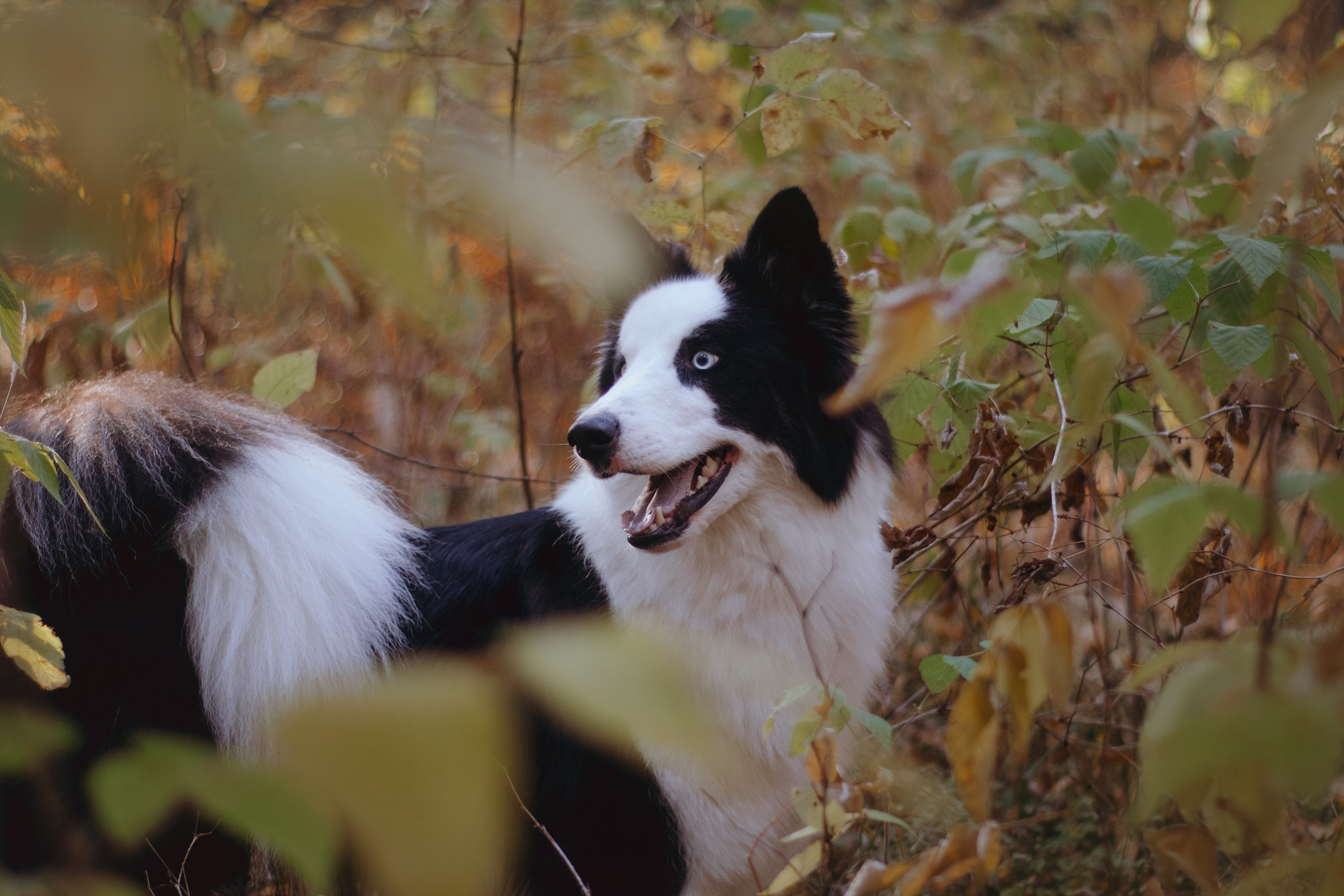 Ликёр. Фотограф в Тюмени Лизавета Сапицкая