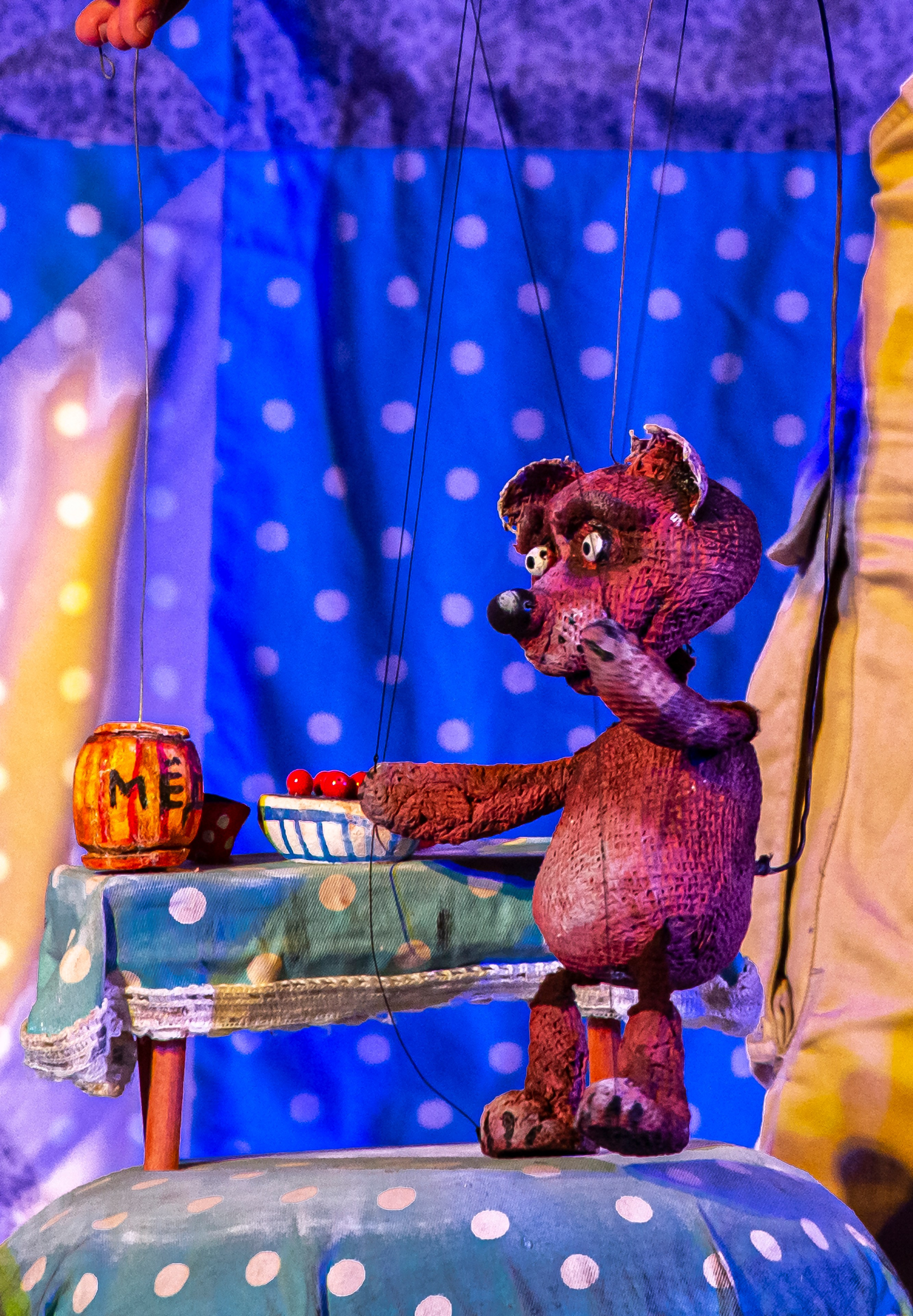 Колючая сказка. Фотограф в Сочи Юрий Шептаев