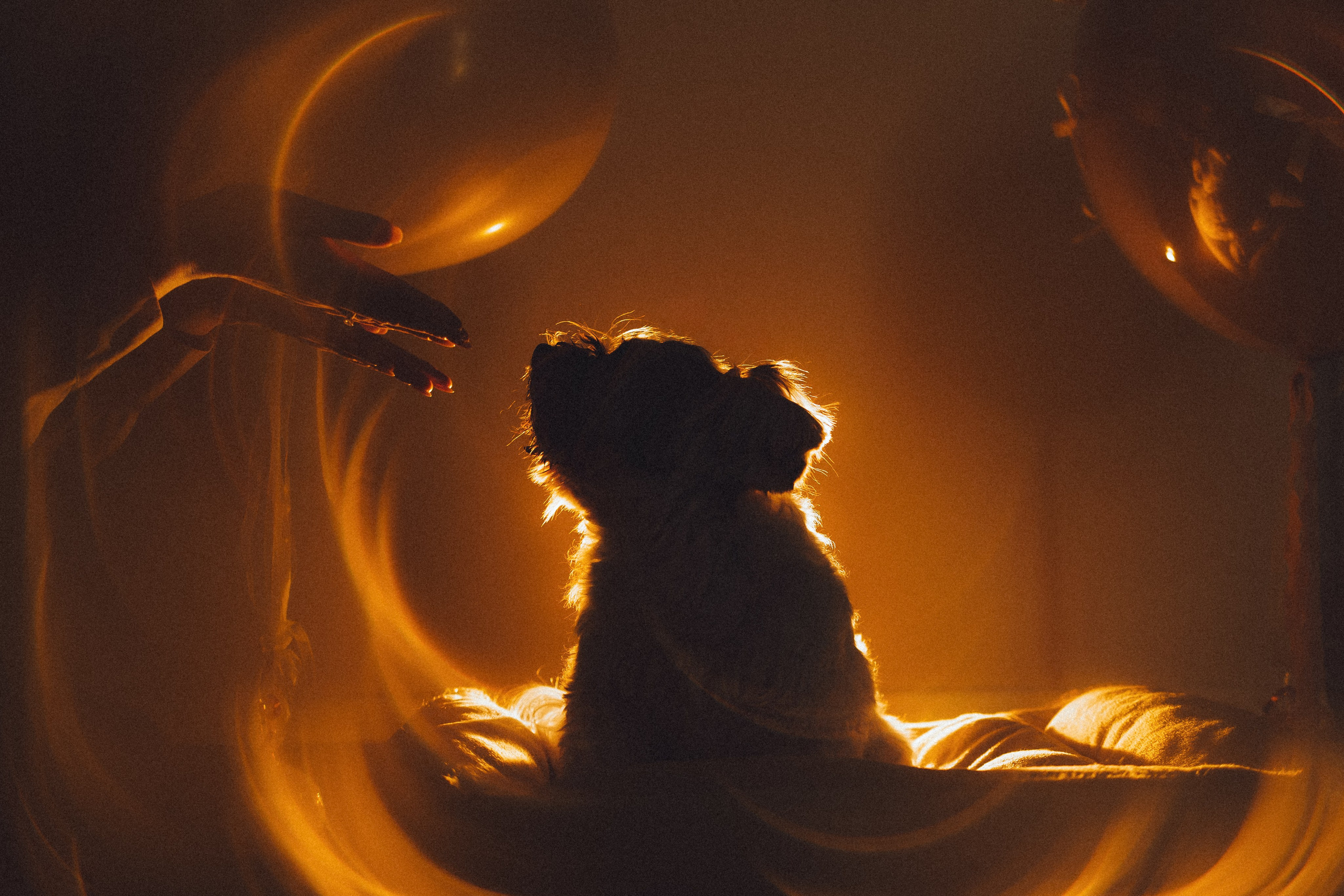 День Рождения Шу