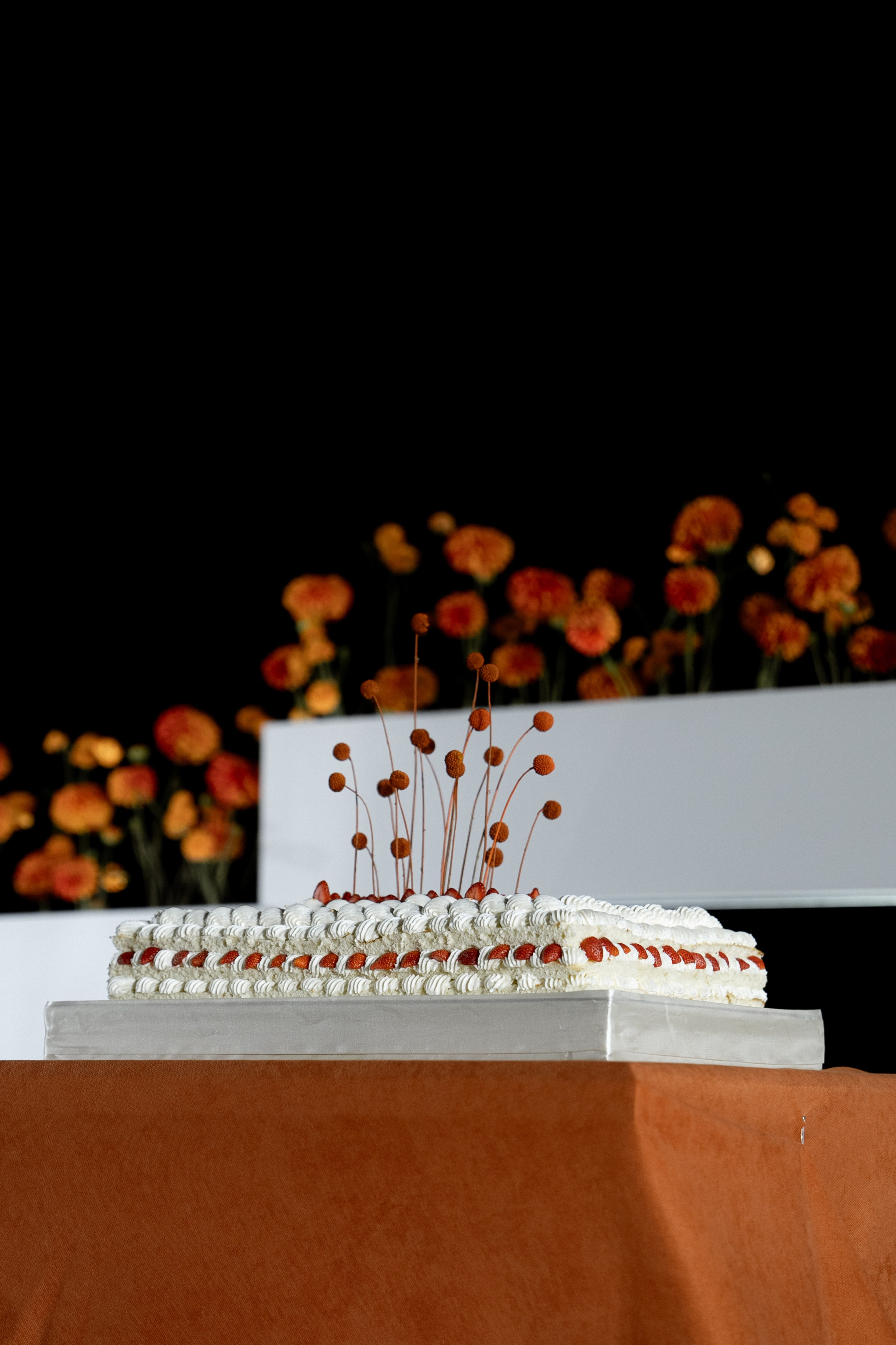 Гермес. Orange. Семейный и портретный фотограф в Саратове Сахарова Маша