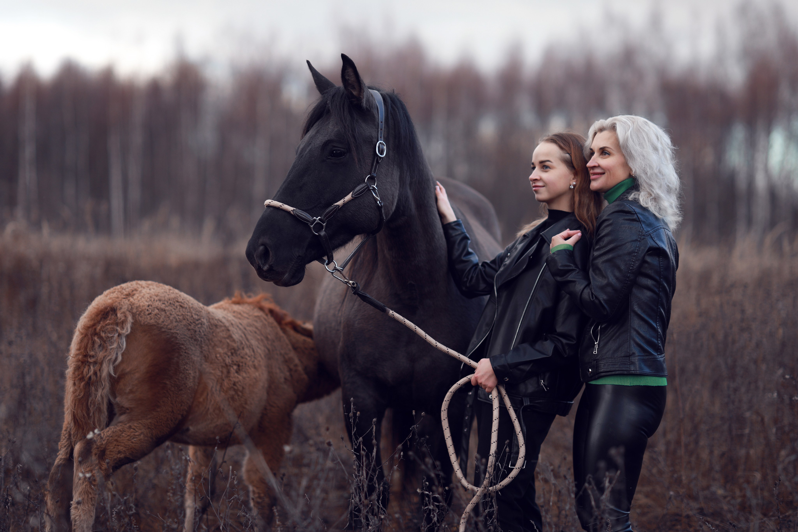 Семейная, love-story с лошадьми. Фотосессия с лошадьми