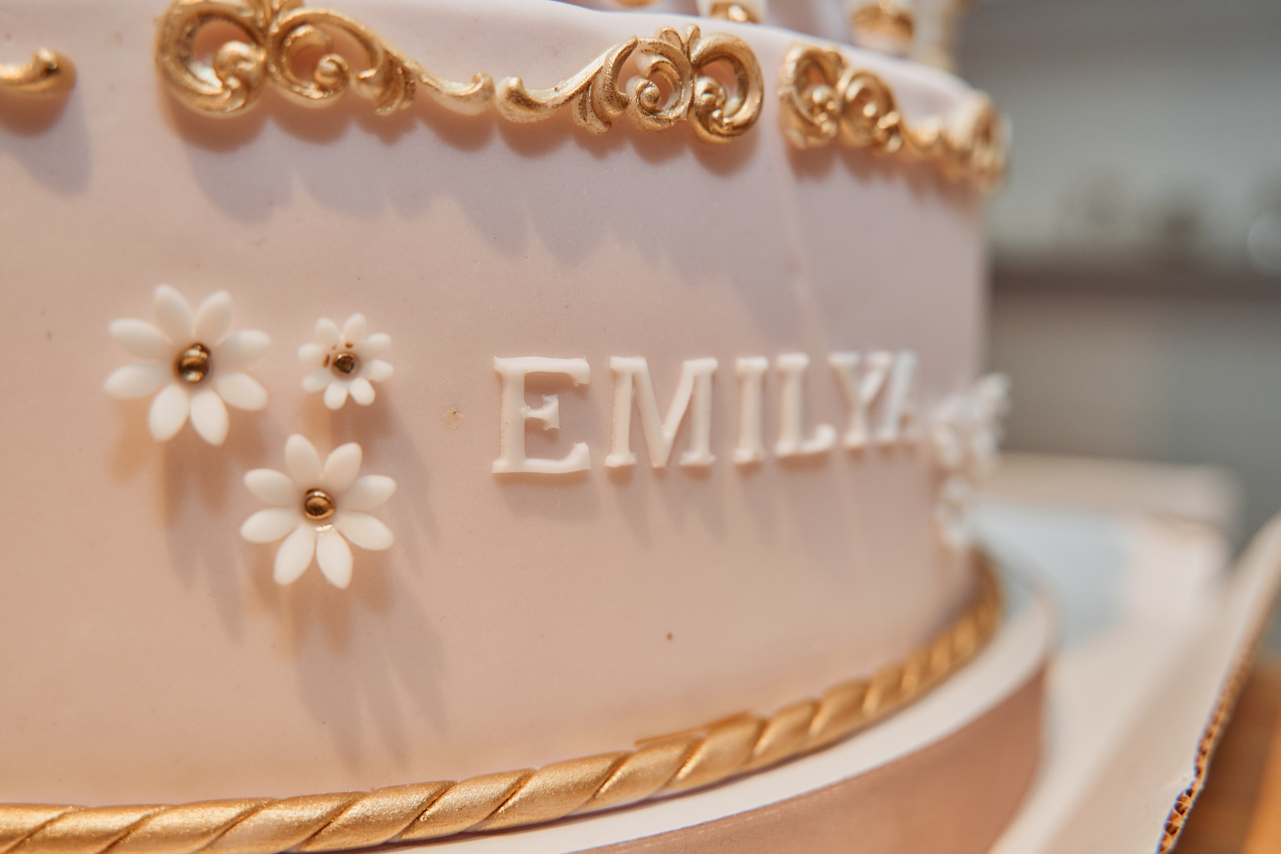 День рождения Эмилии. Фотограф Москва Арина Клокова