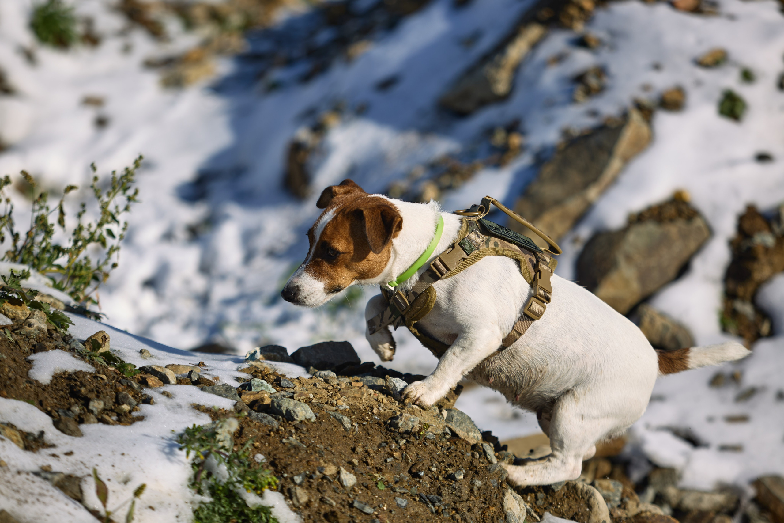 Лети Спасатель. Buyvolenko Andrey