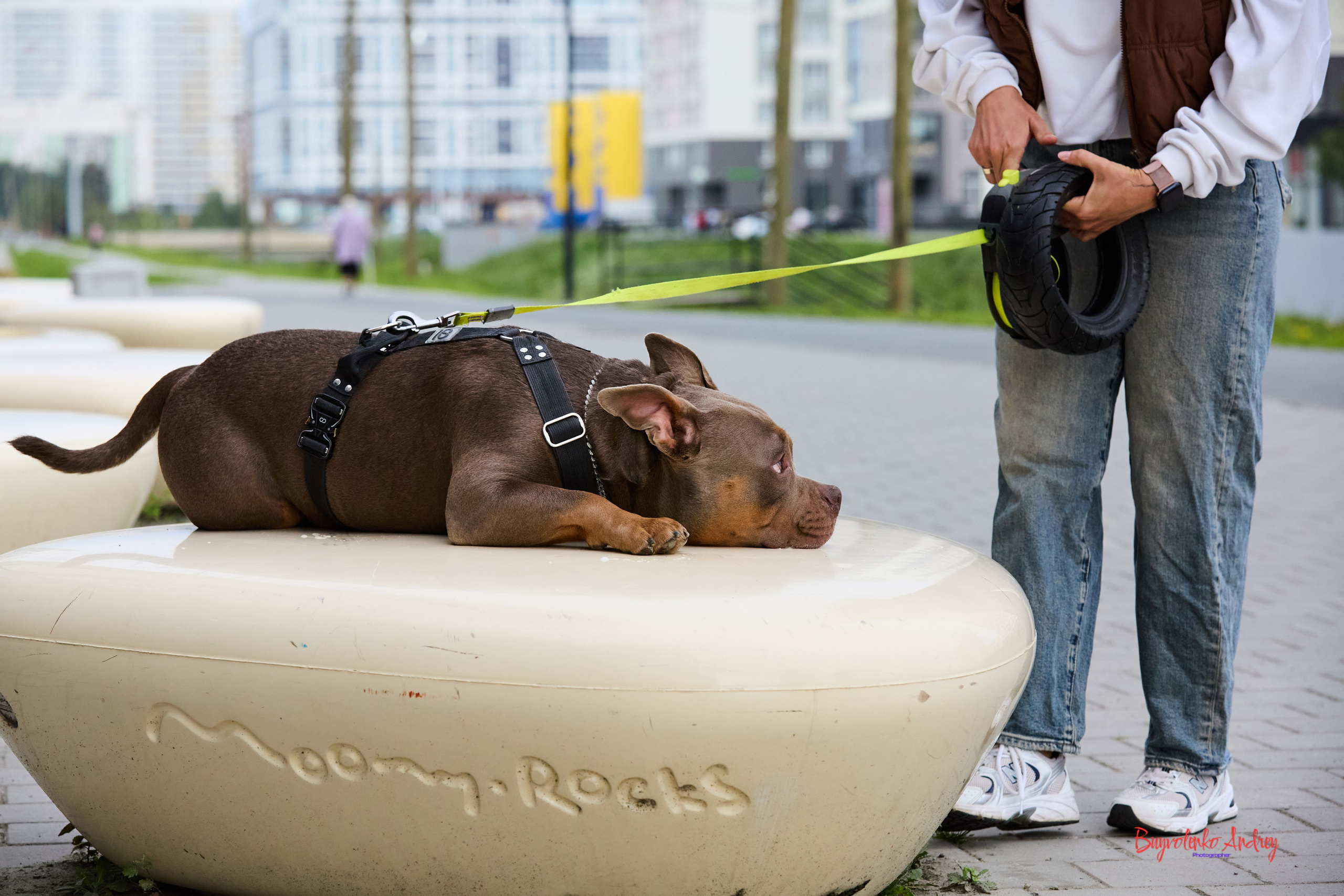 Проект фотопрогулка с хвостиком. Buyvolenko Andrey