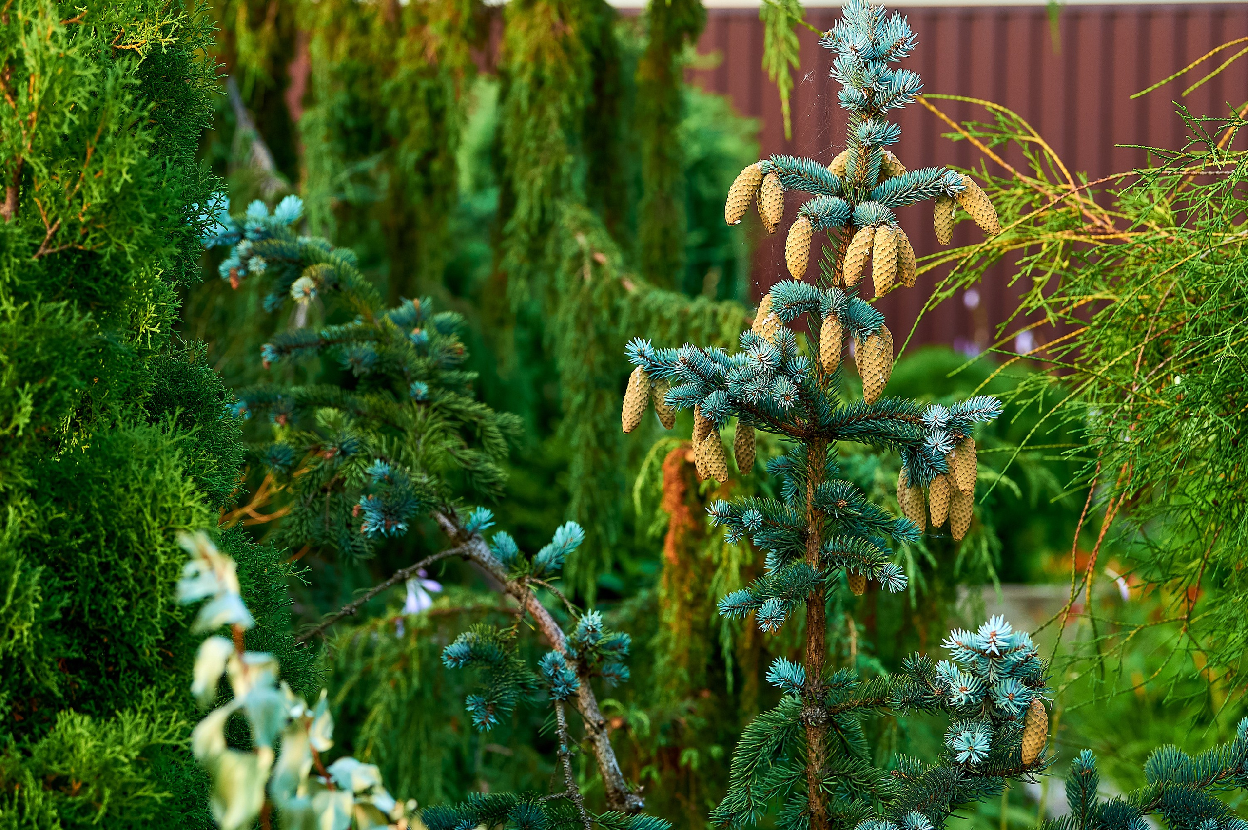 Фотосъёмка ландшафтных рабт