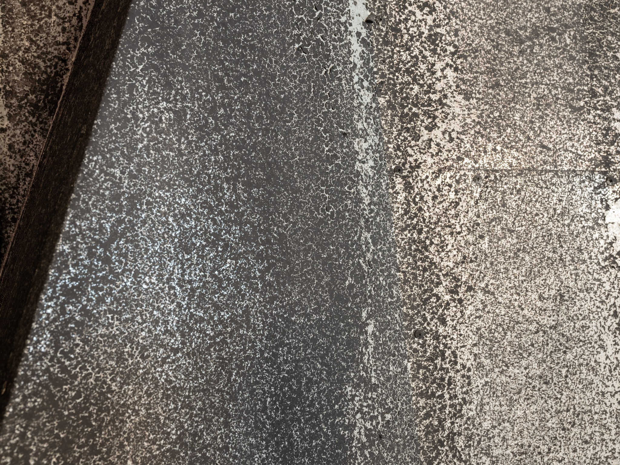 Выставка-путешествие «Балабанов» Севкабельпорт (СПБ) Planet9 2023. Фотограф Василий Буланов