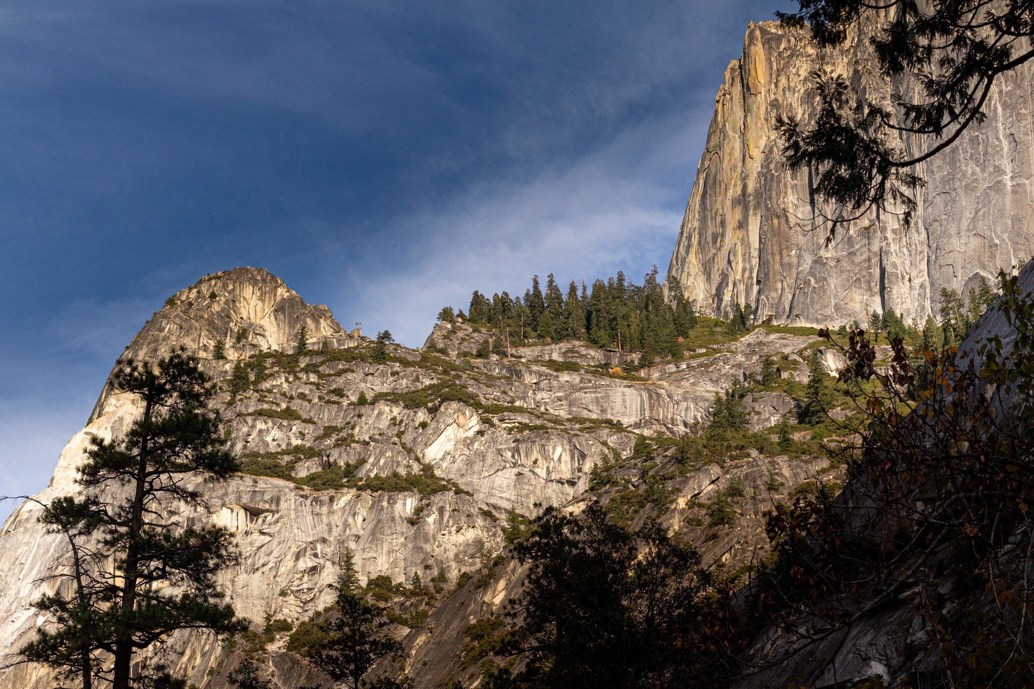 Парк Yosemite, США, 2013. Фотограф Василий Буланов