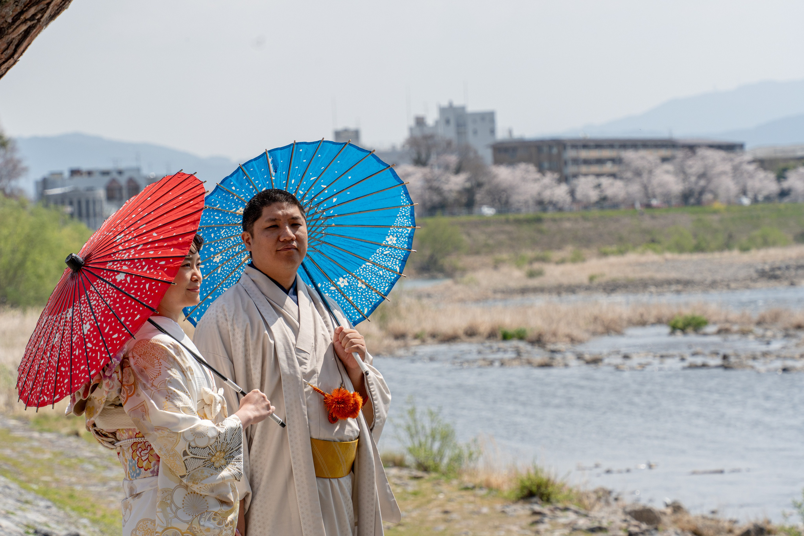 Япония, сакура. Творческие сьемки