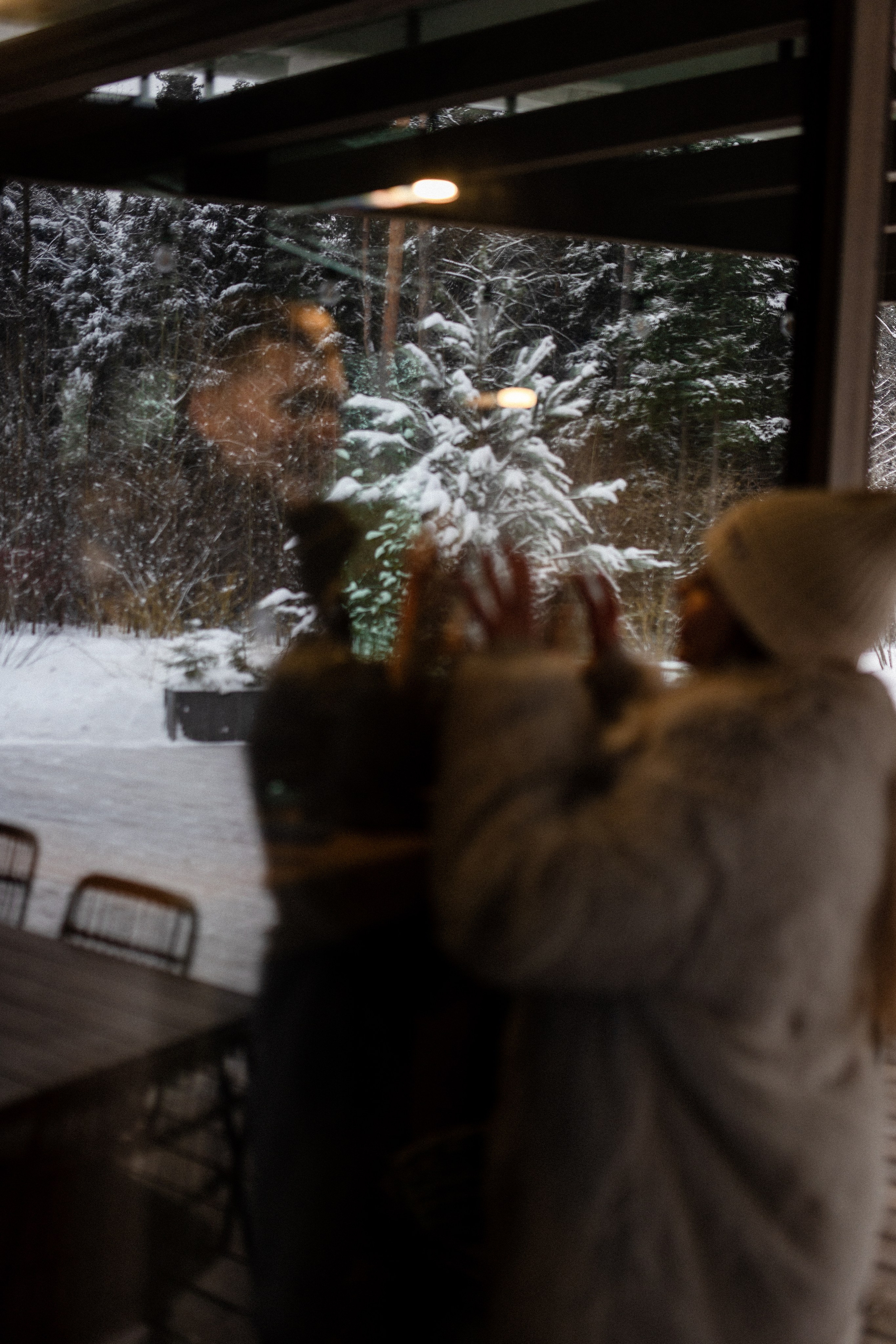 Зимний Мещерский парк. Фотограф в Москве Вероника Иньякова