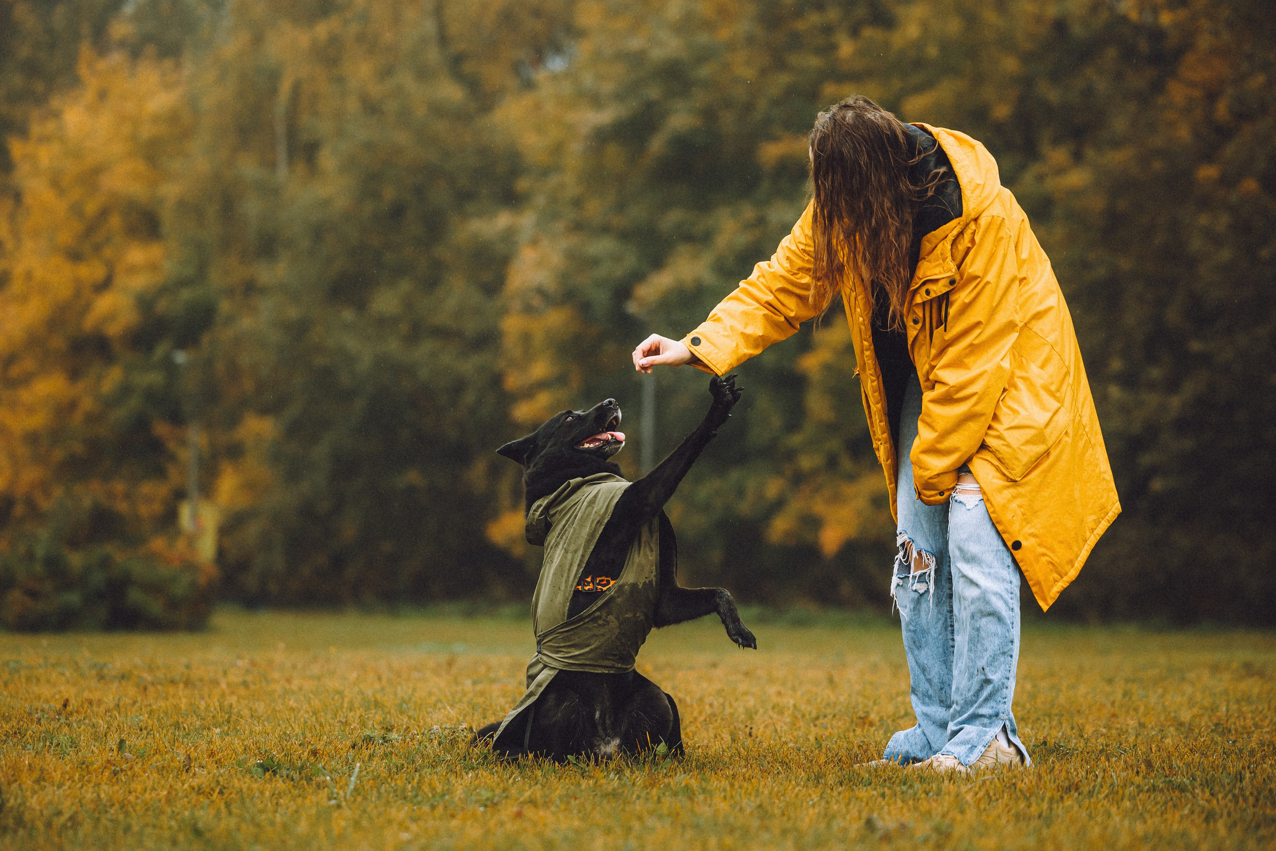 Рита и Буба