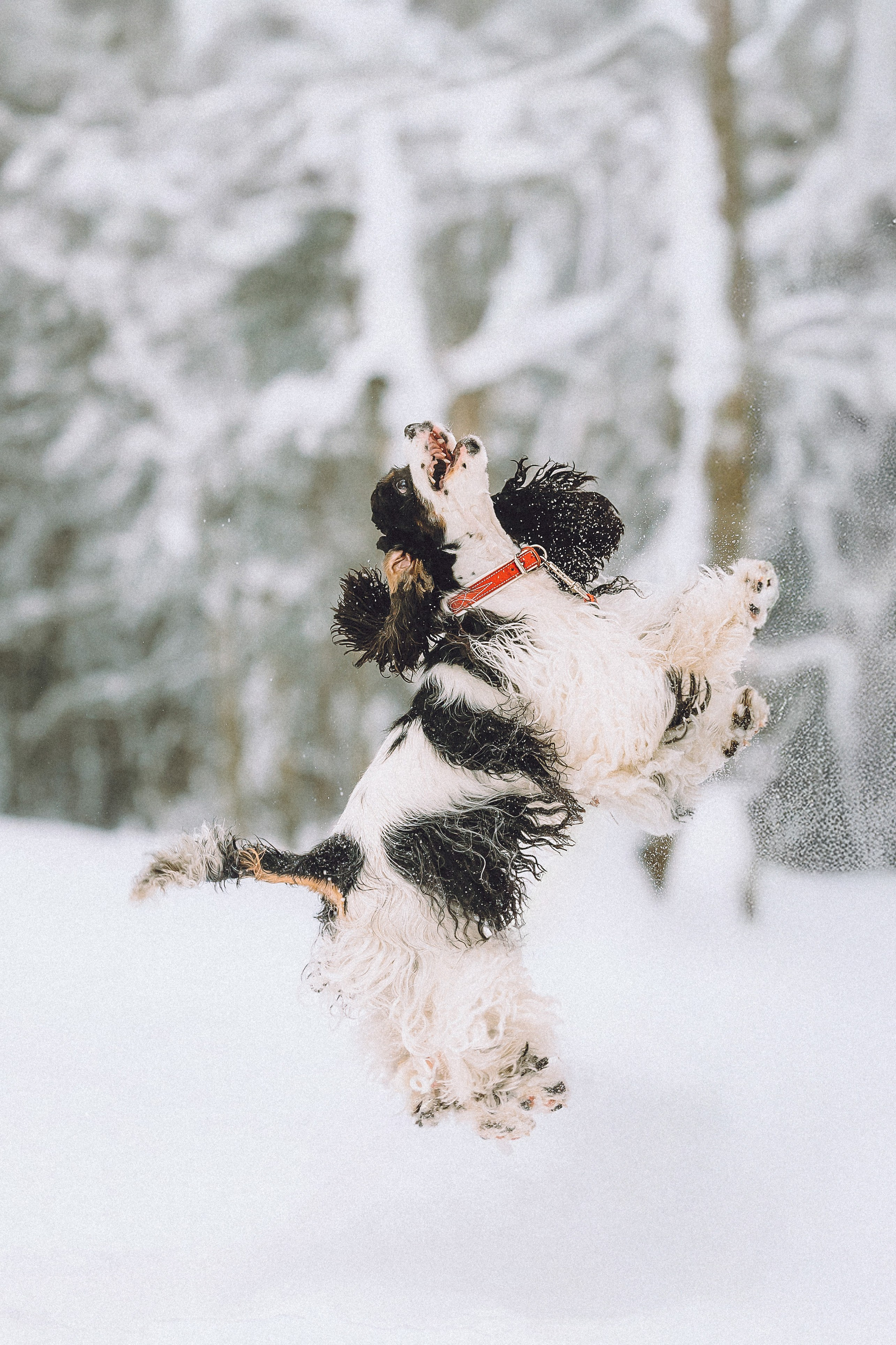 Ольга и Патрик