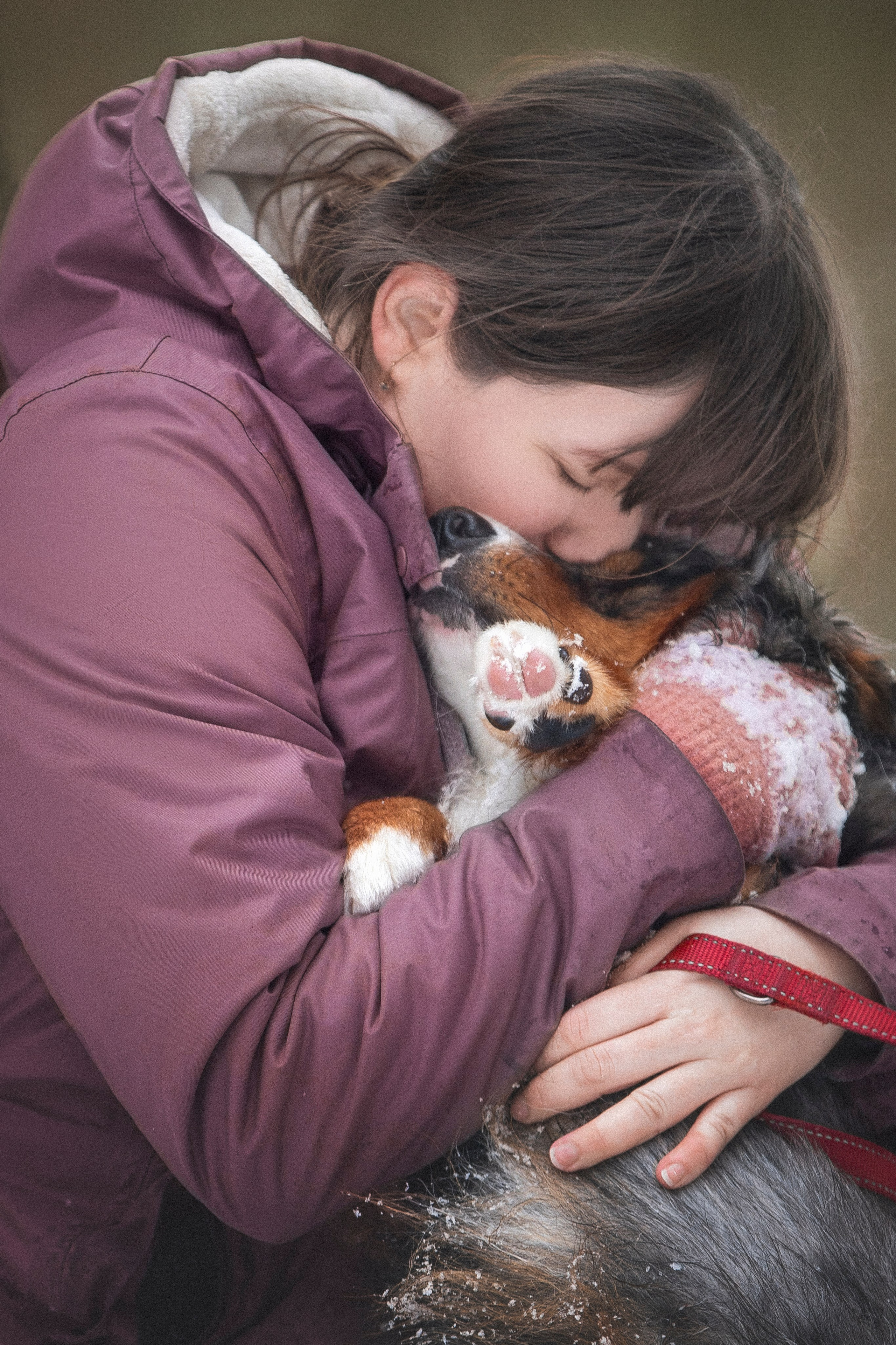 Дария, Макс, Сезам и Чили. Фотограф анималист в Москве Майорова Евгения