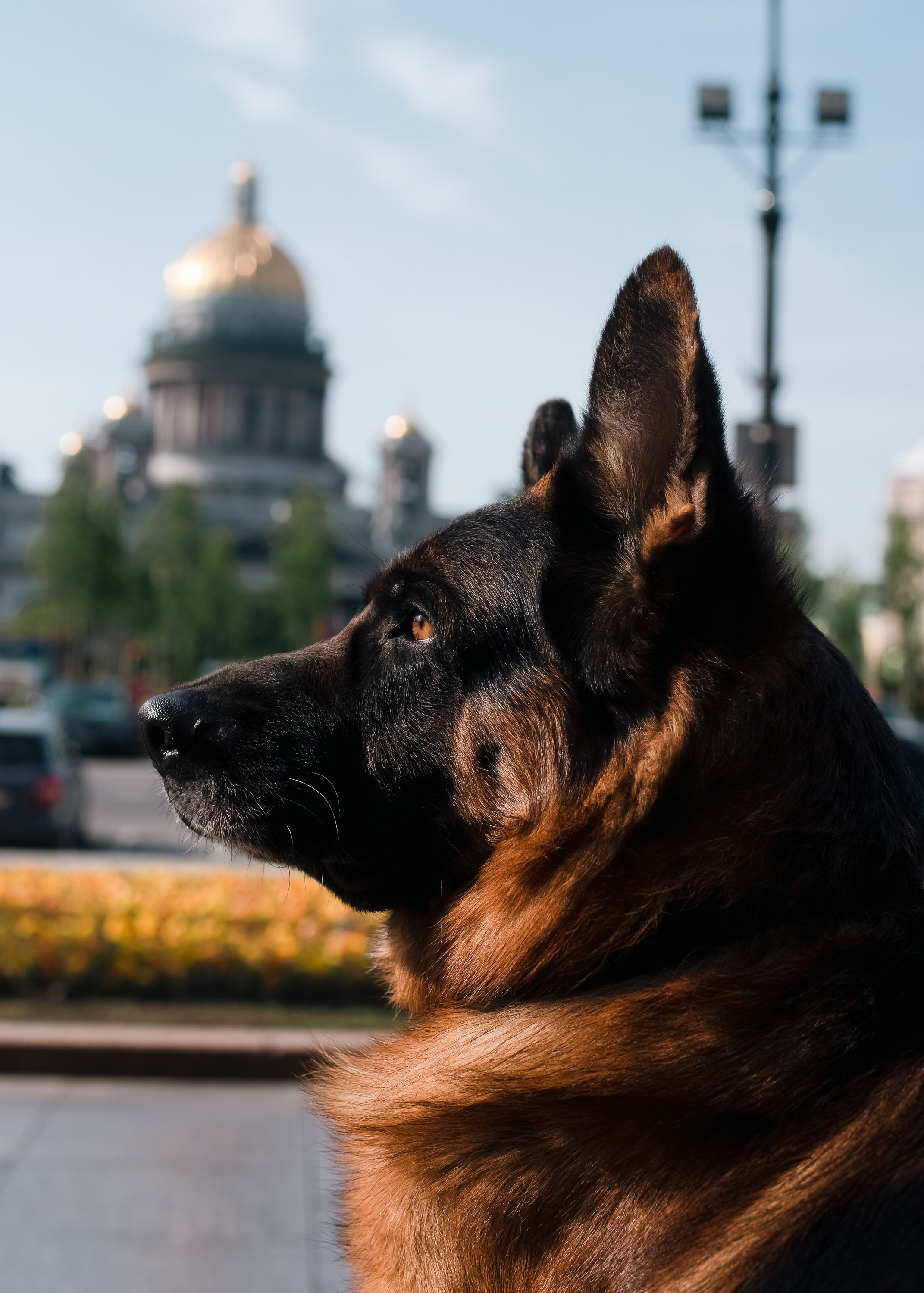 Портретная съемка, портрет, фотография, фотограф спб, портретный фотограф спб, студийная съемка, съемка в студии, профессиональный фотограф, фотосессии дома, фотосессия с парнем, домашние съемки, фотосессия с собакой, уличная фотография, съемка с питомцем, lifestyle фотография, фотограф спб, питер фотограф, прогулочная фотосессия, лайфстайл