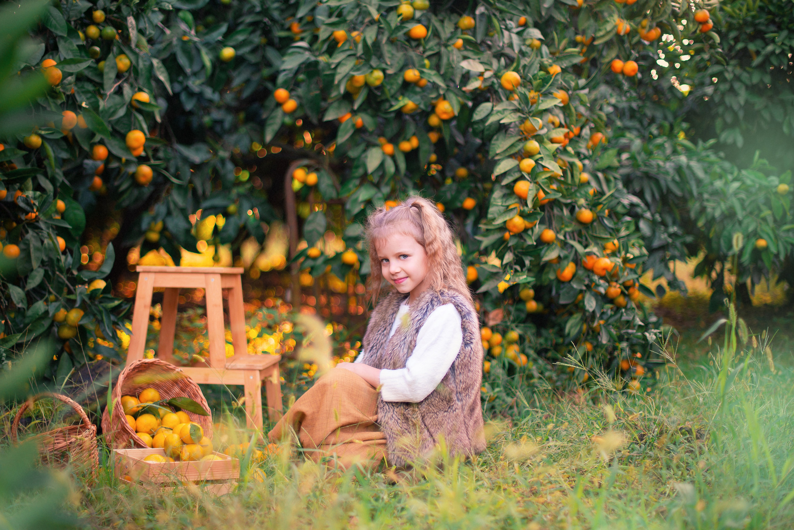 Мандарины. Детский и семейный фотограф в Абхазии
