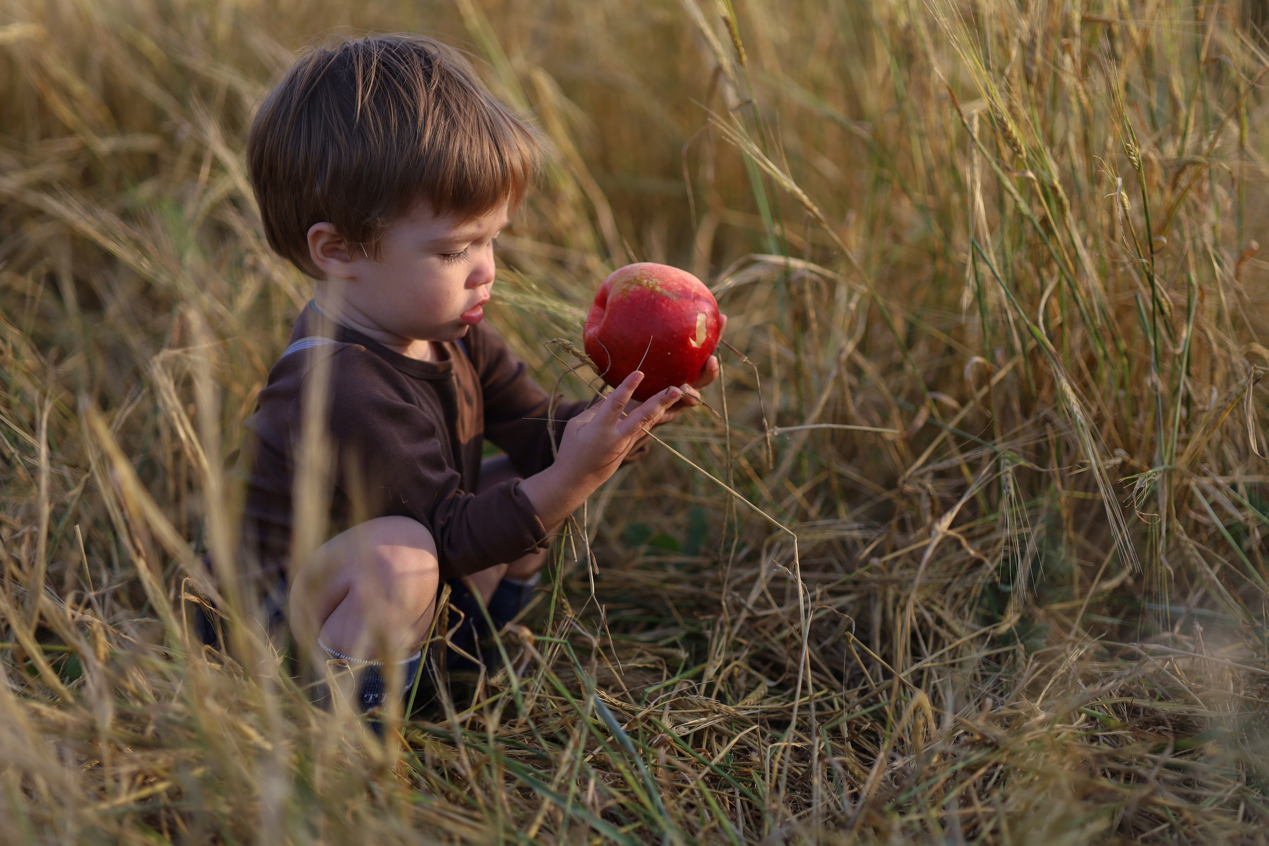Галерея работ. Семейный и детский фотограф Рядчикова Екатерина Москва