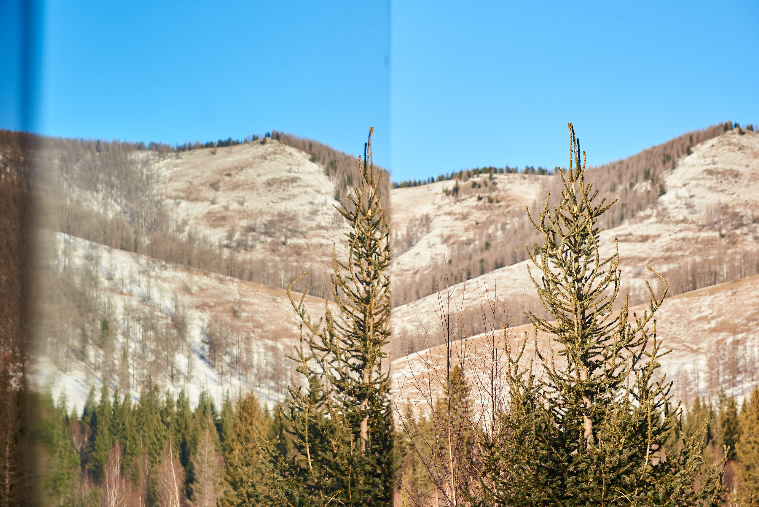 Сны Алтая. Семейный фотограф в Барнаул/Горный Алтай, Аренда дома в горах