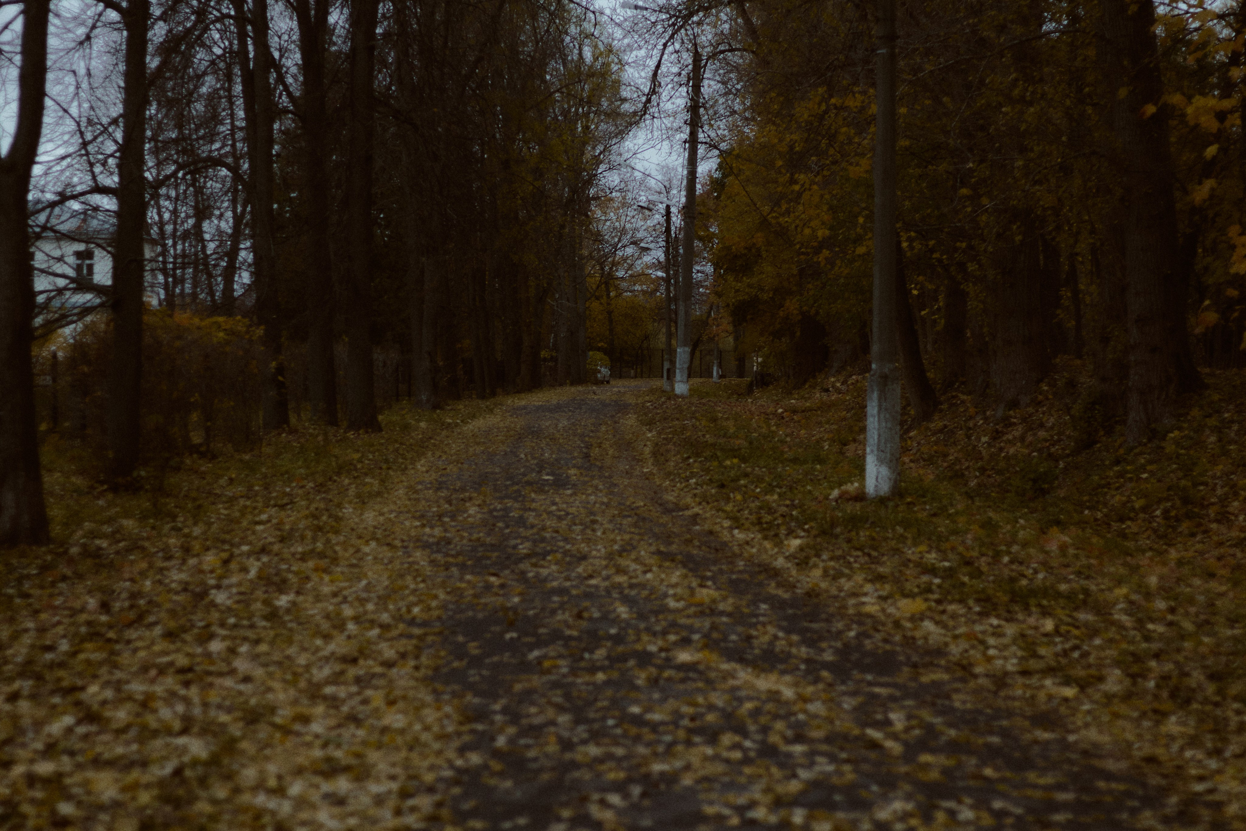 Агата и Даниил. Фотограф лавстори Москва/МО Приятелева Ангелина