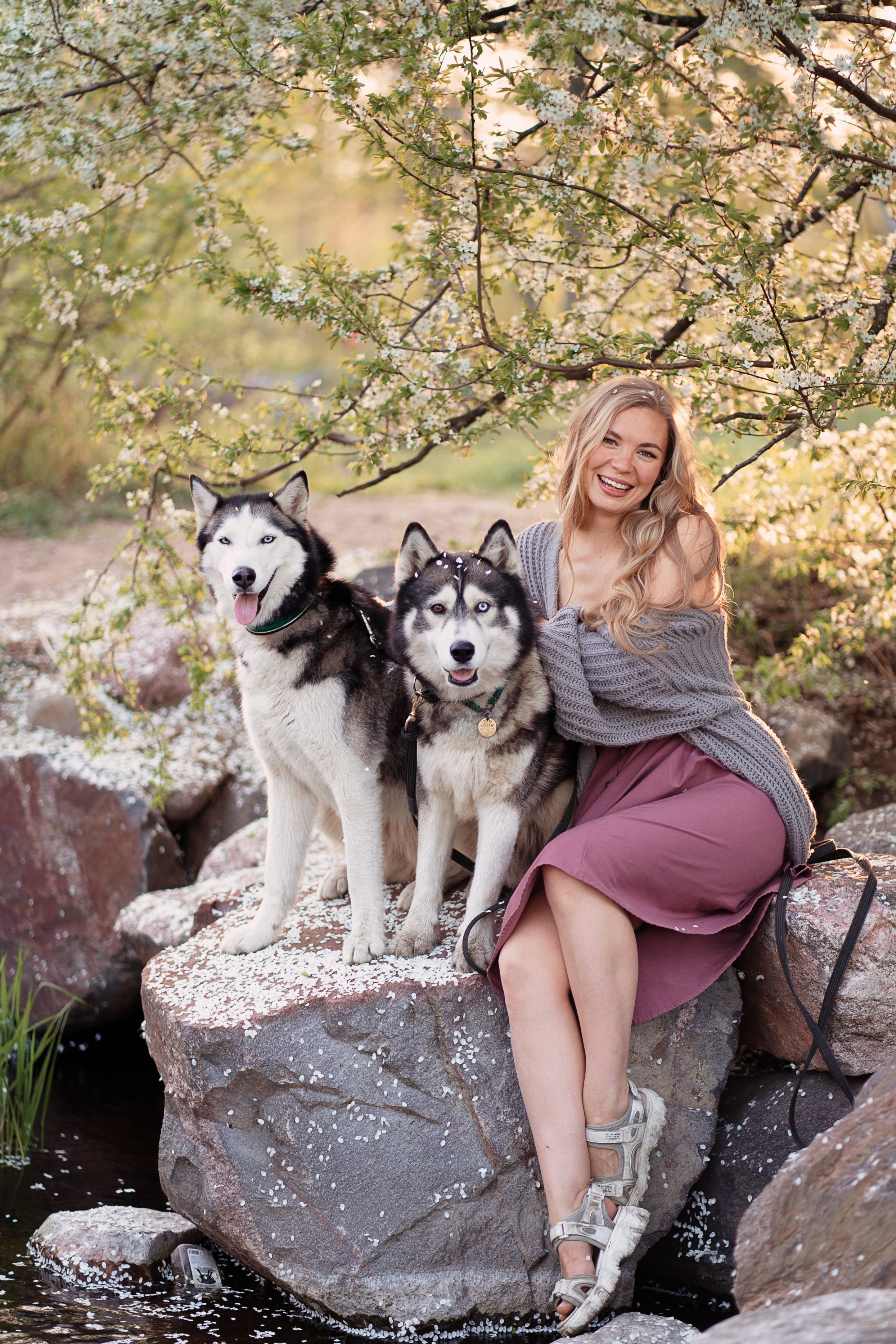 Хвостики. Главная