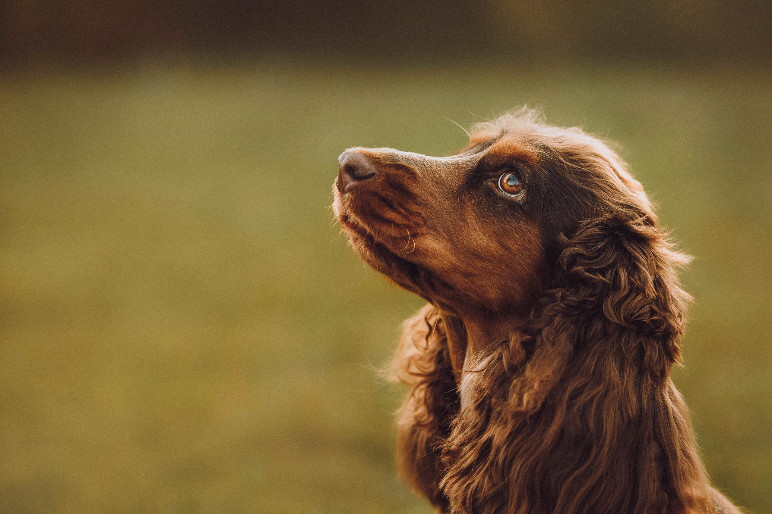 Настя, Саша и Эстер