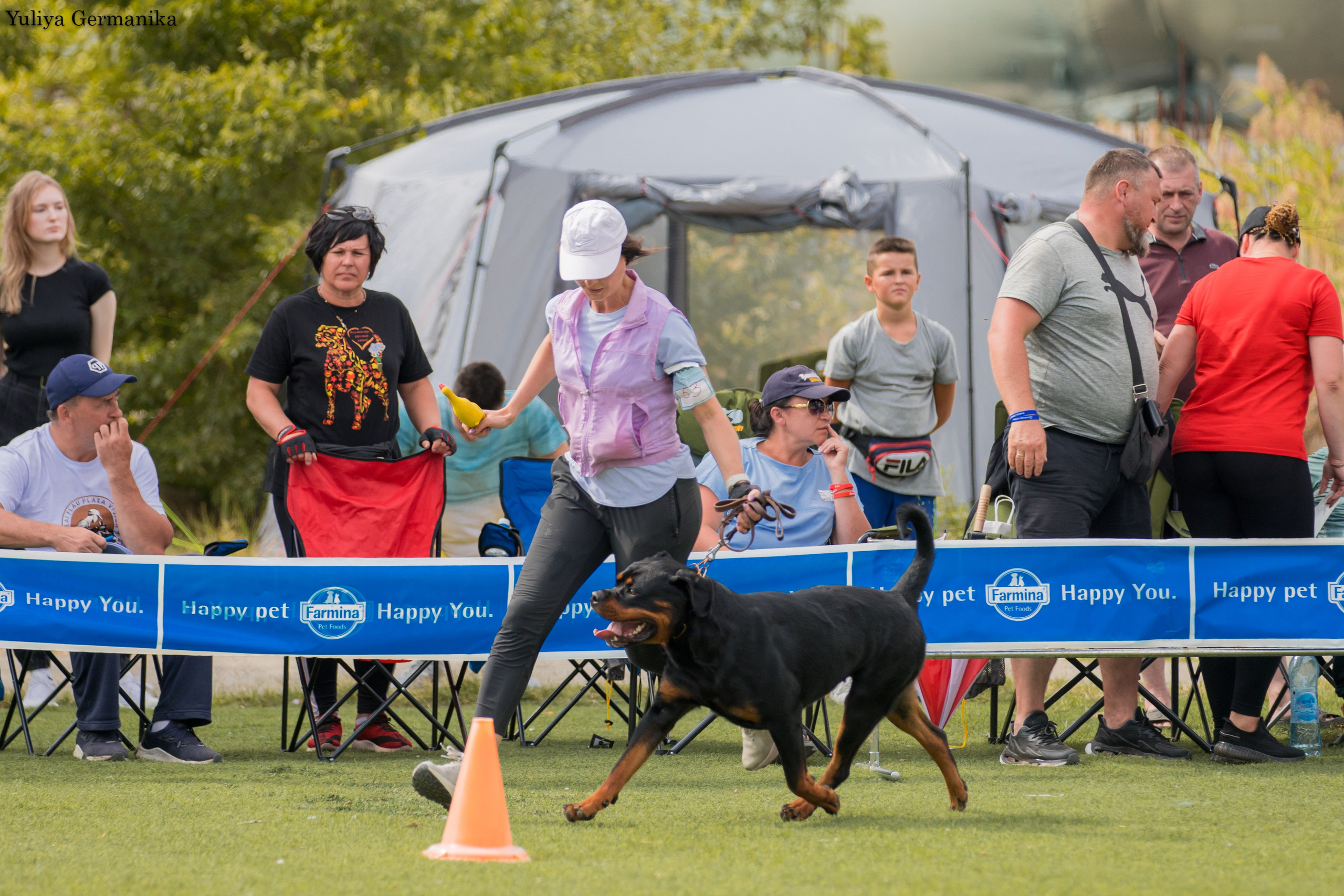 Анапа 16-17.09.2023 моно ротвейлеров. Фотограф-анималист Юлия Германика