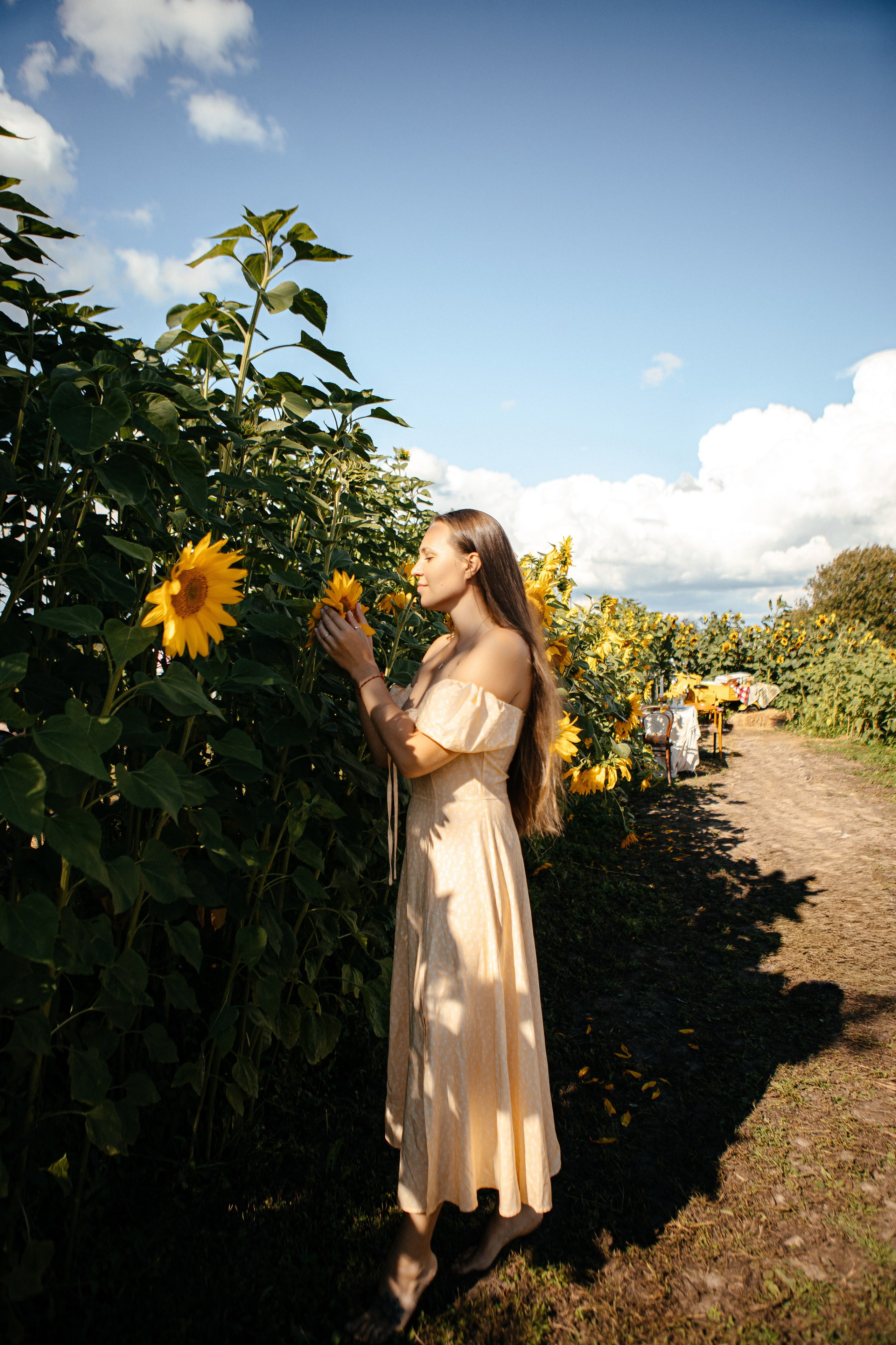 Семья в подсолнухах. Elena Sova — семейный и женский фотограф в Санкт-Петербурге