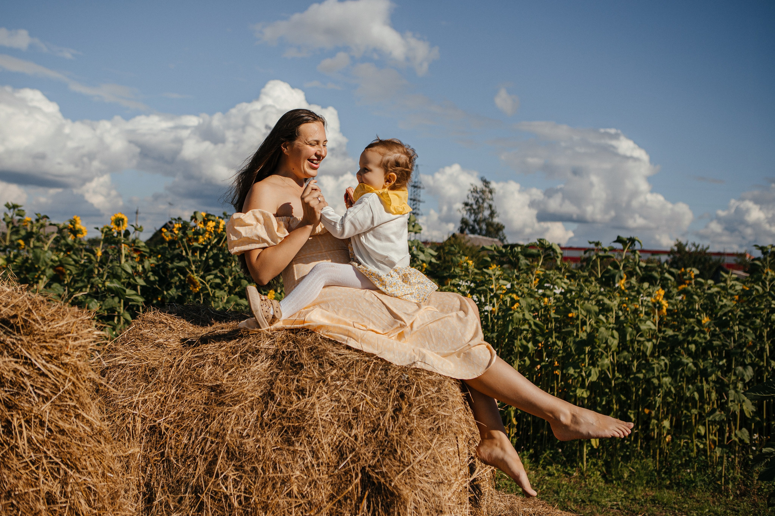Семья в подсолнухах. Elena Sova — семейный и женский фотограф в Санкт-Петербурге