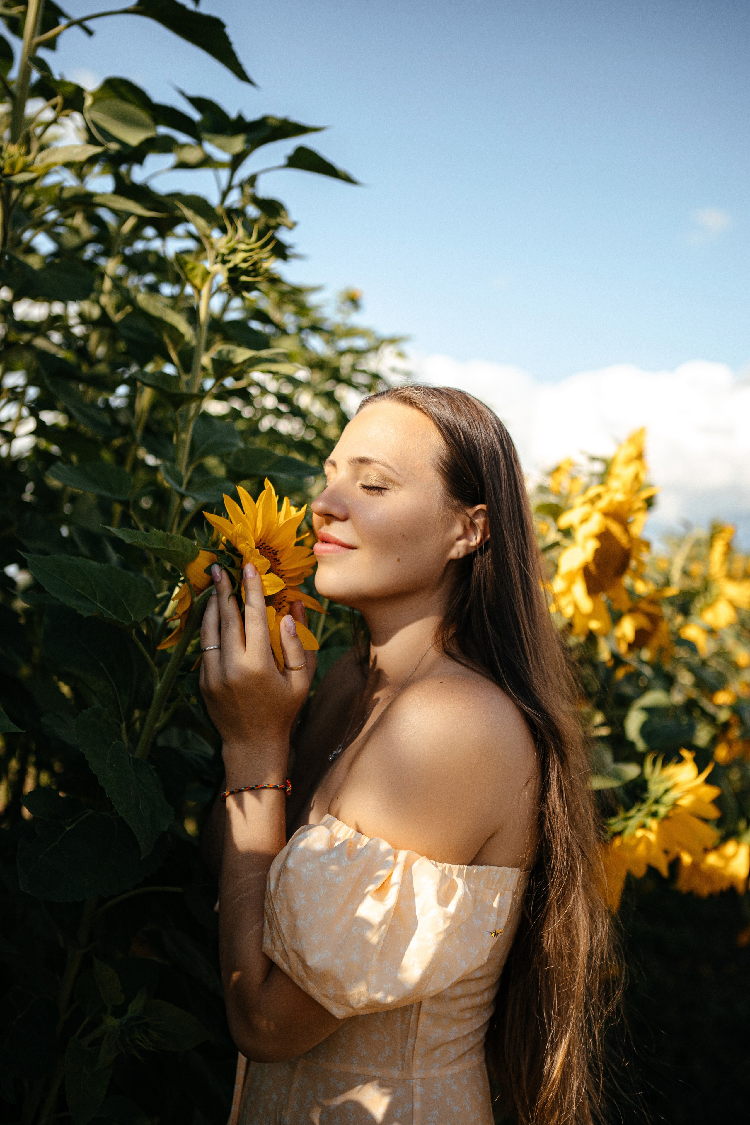 Семья в подсолнухах. Elena Sova — семейный и женский фотограф в Санкт-Петербурге