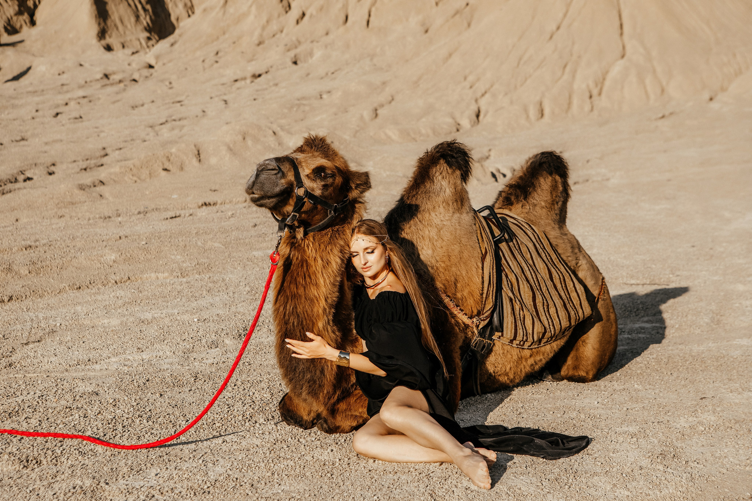 Девушки с верблюдом. Elena Sova — семейный и женский фотограф в Санкт-Петербурге