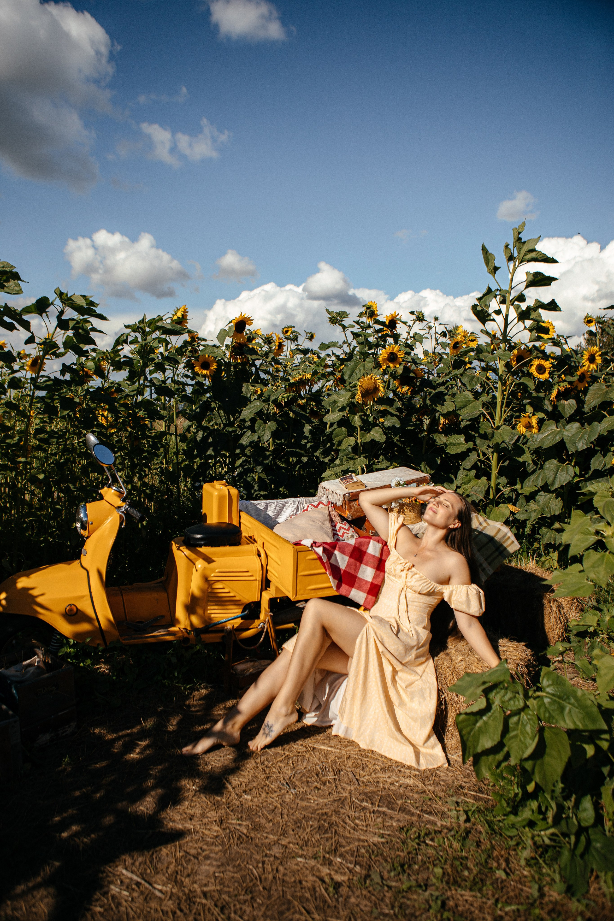 Семья в подсолнухах. Elena Sova — семейный и женский фотограф в Санкт-Петербурге