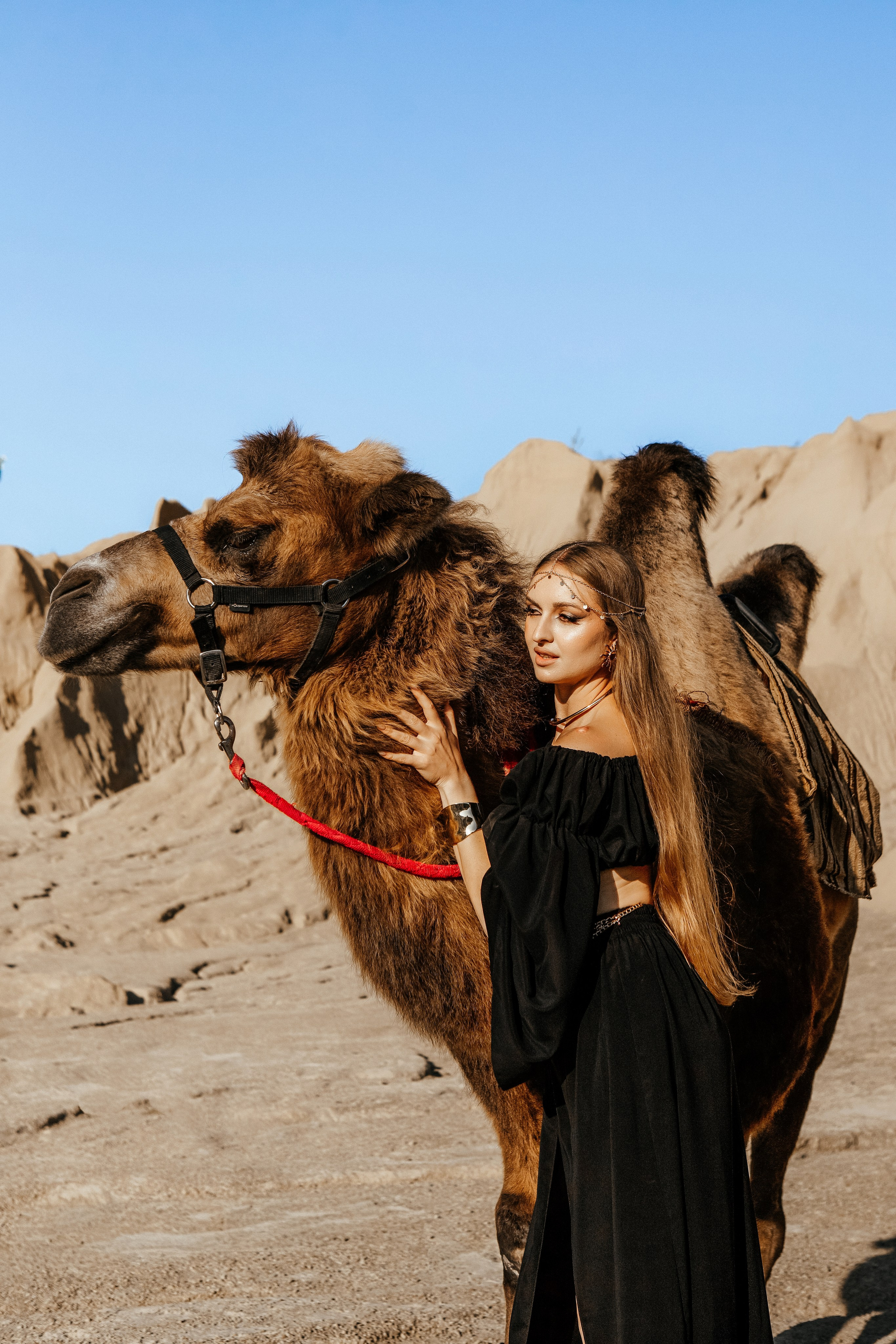 Девушки с верблюдом. Elena Sova — семейный и женский фотограф в Санкт-Петербурге