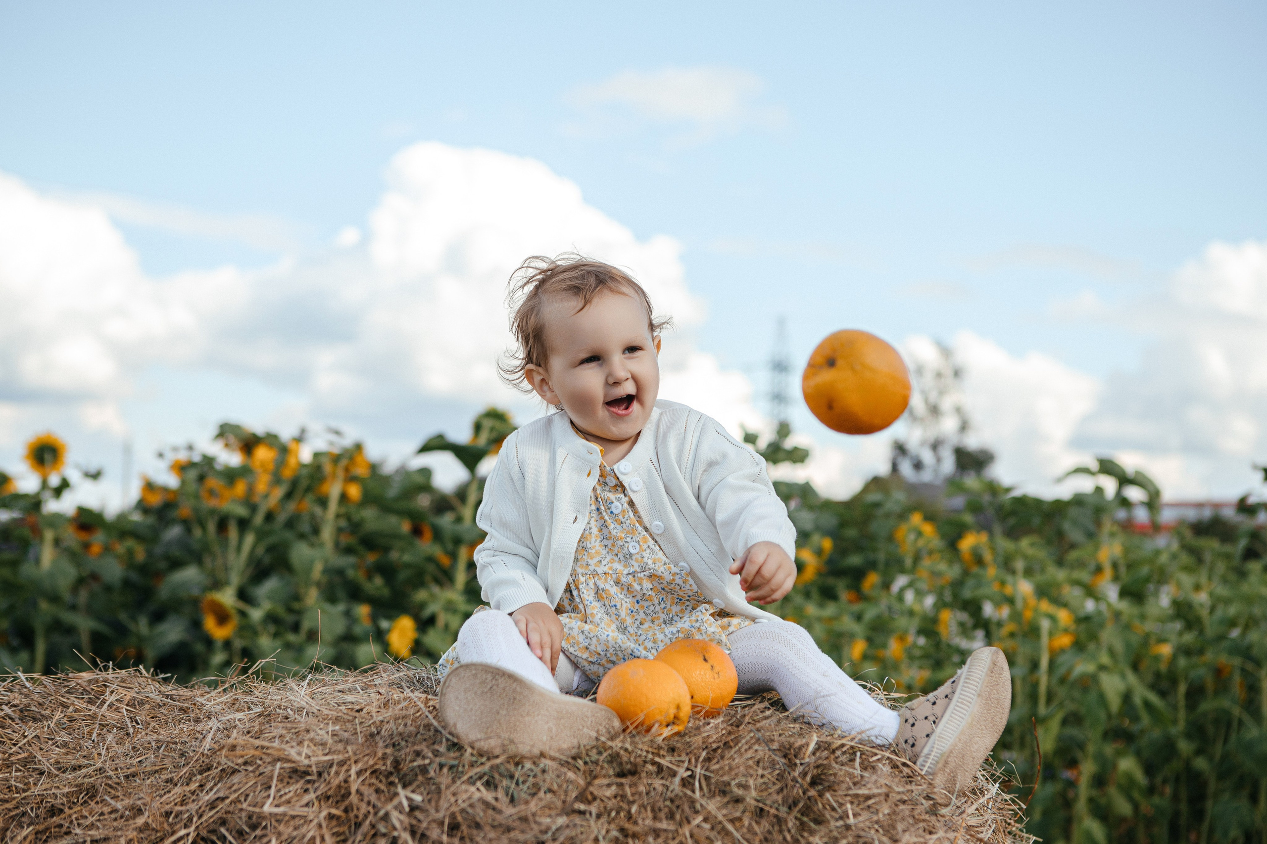 Семья в подсолнухах. Elena Sova — семейный и женский фотограф в Санкт-Петербурге