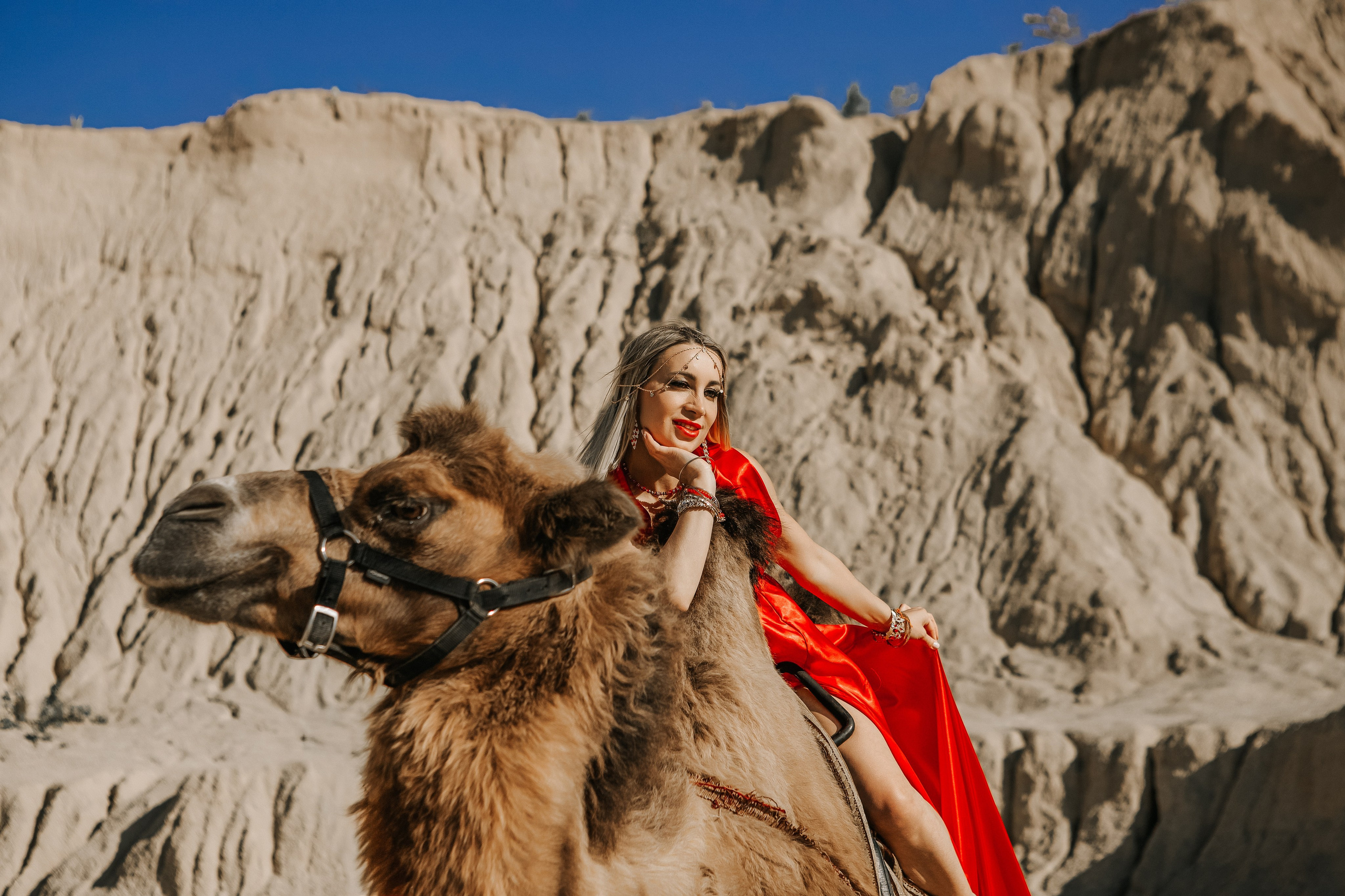 Девушки с верблюдом. Elena Sova — семейный и женский фотограф в Санкт-Петербурге
