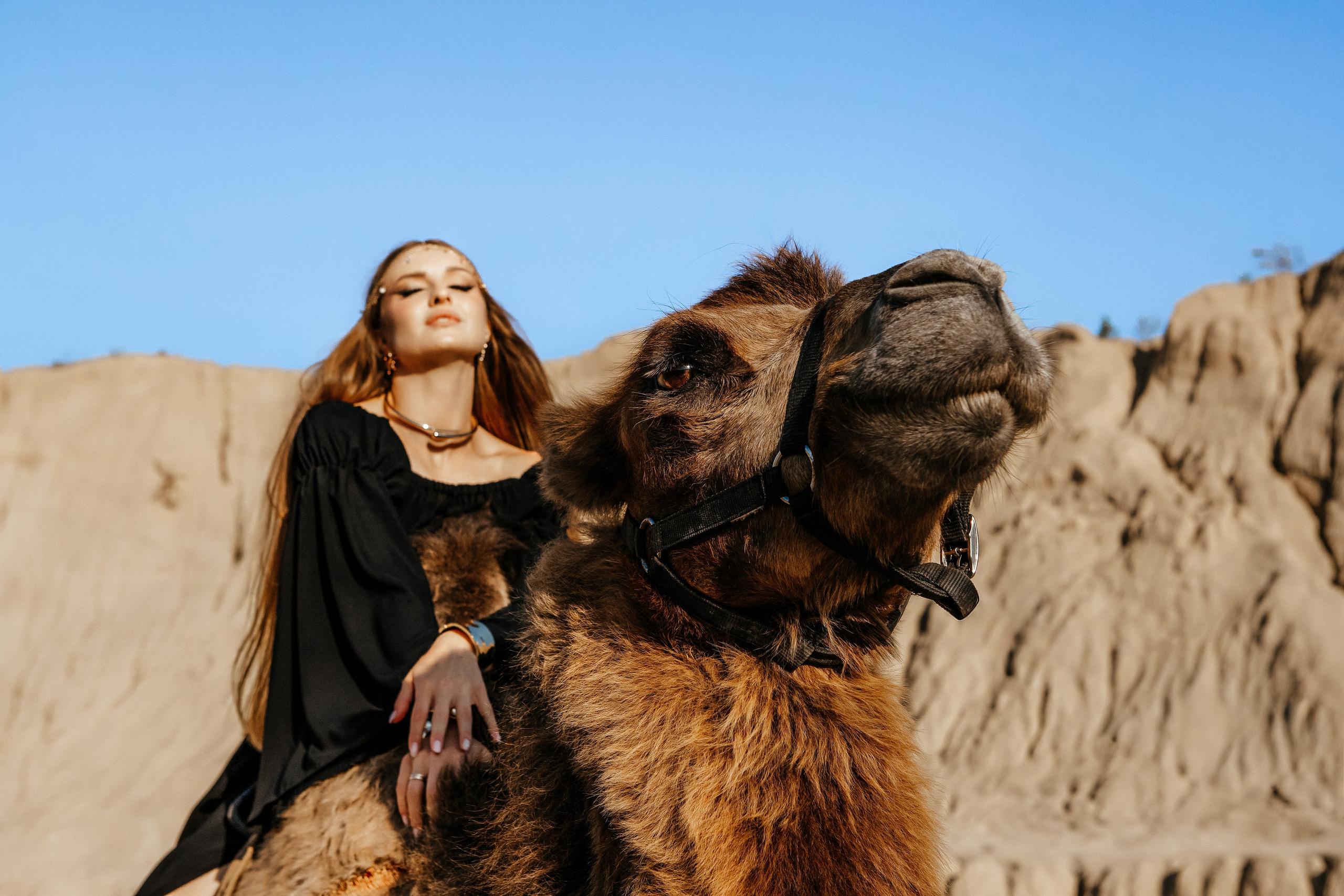 Девушки с верблюдом. Elena Sova — семейный и женский фотограф в Санкт-Петербурге