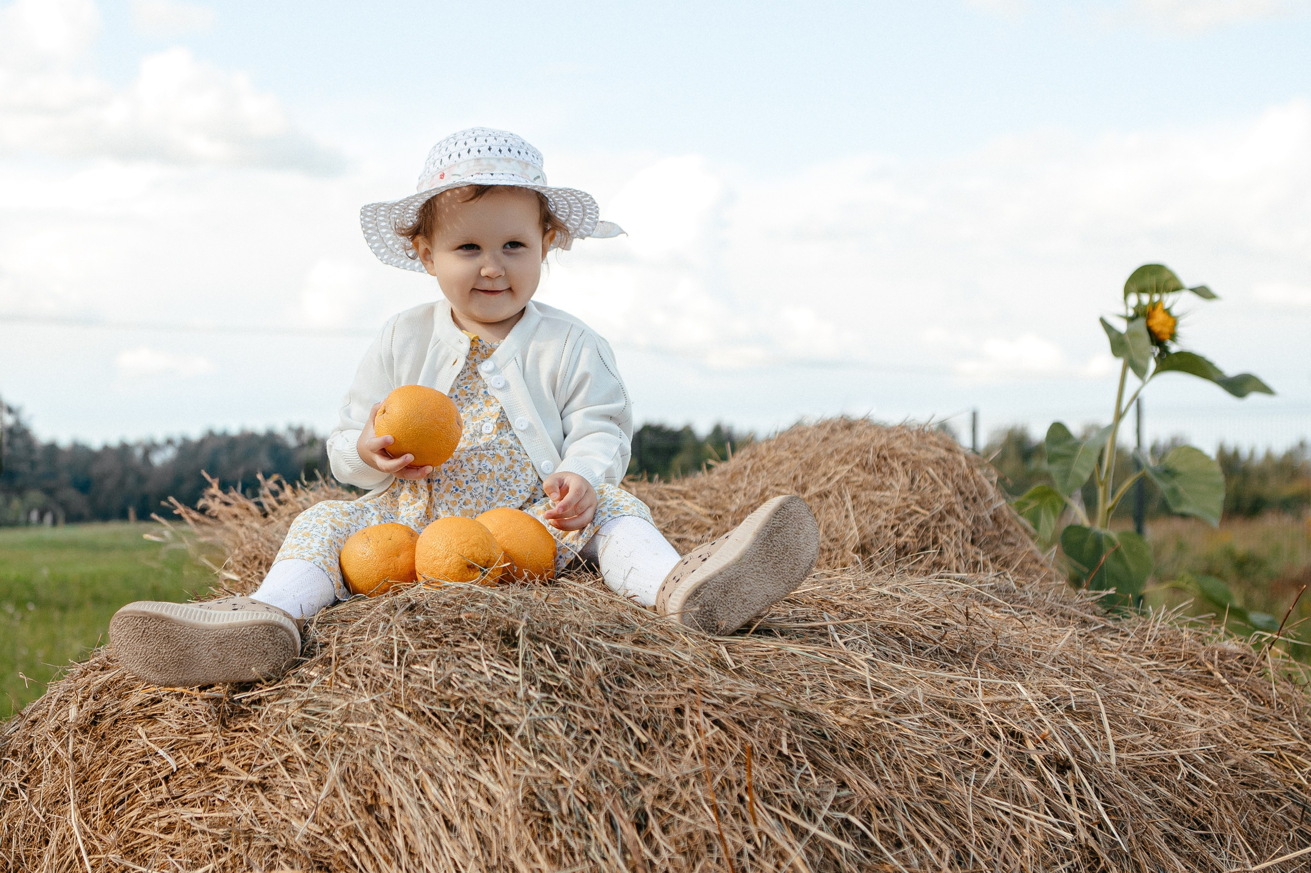 Семья в подсолнухах. Elena Sova — семейный и женский фотограф в Санкт-Петербурге