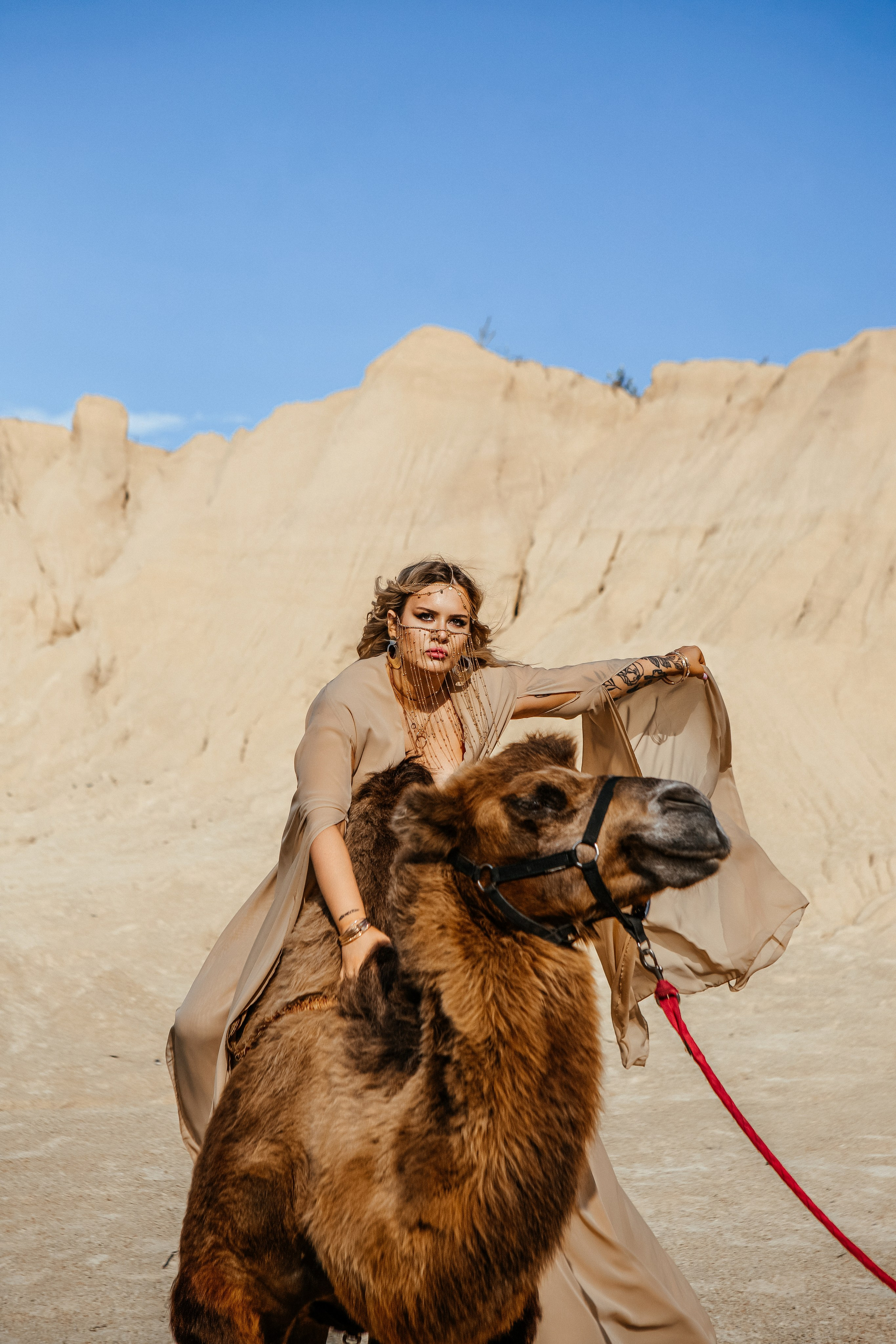 Девушки с верблюдом. Elena Sova — семейный и женский фотограф в Санкт-Петербурге