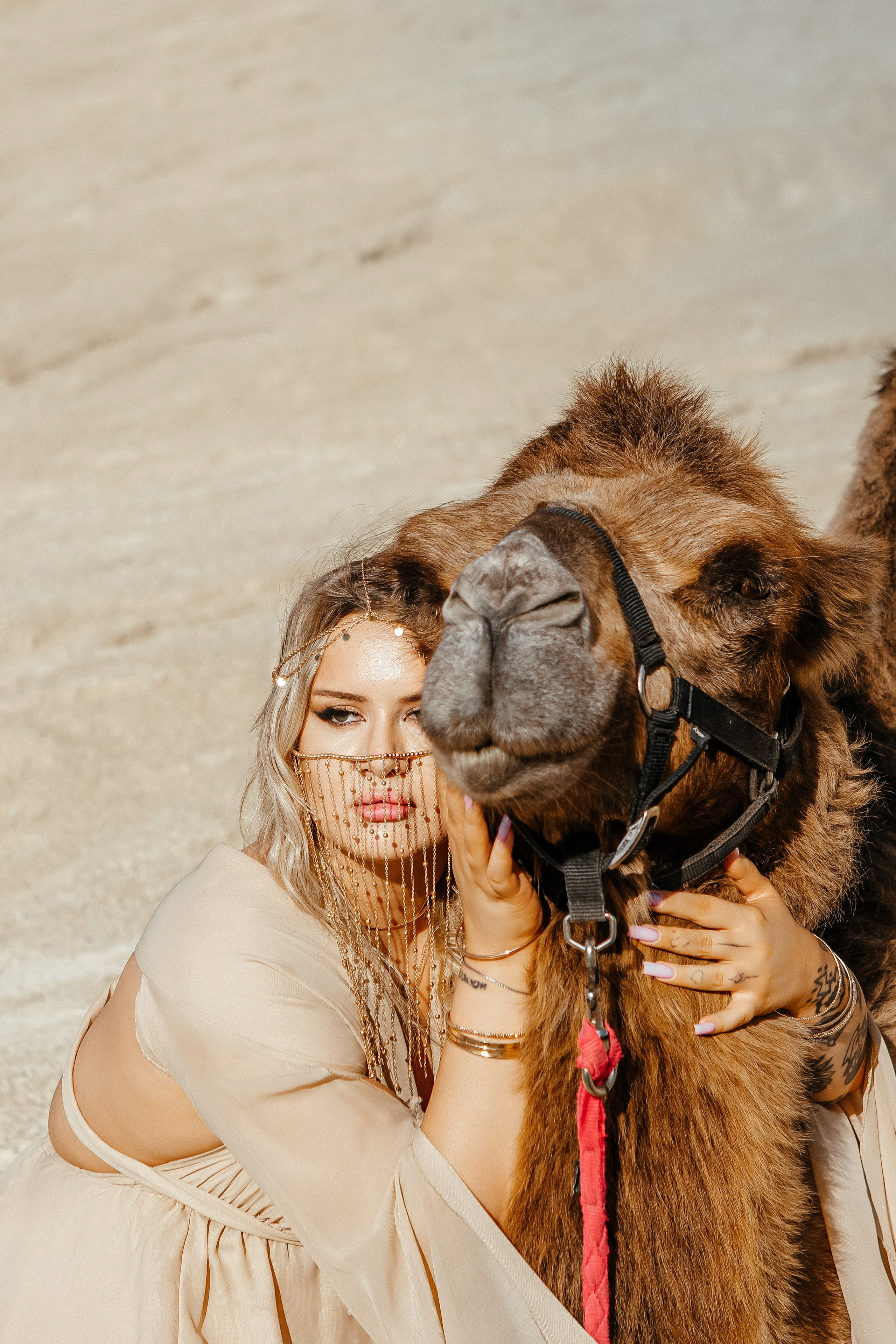 Девушки с верблюдом. Elena Sova — семейный и женский фотограф в Санкт-Петербурге