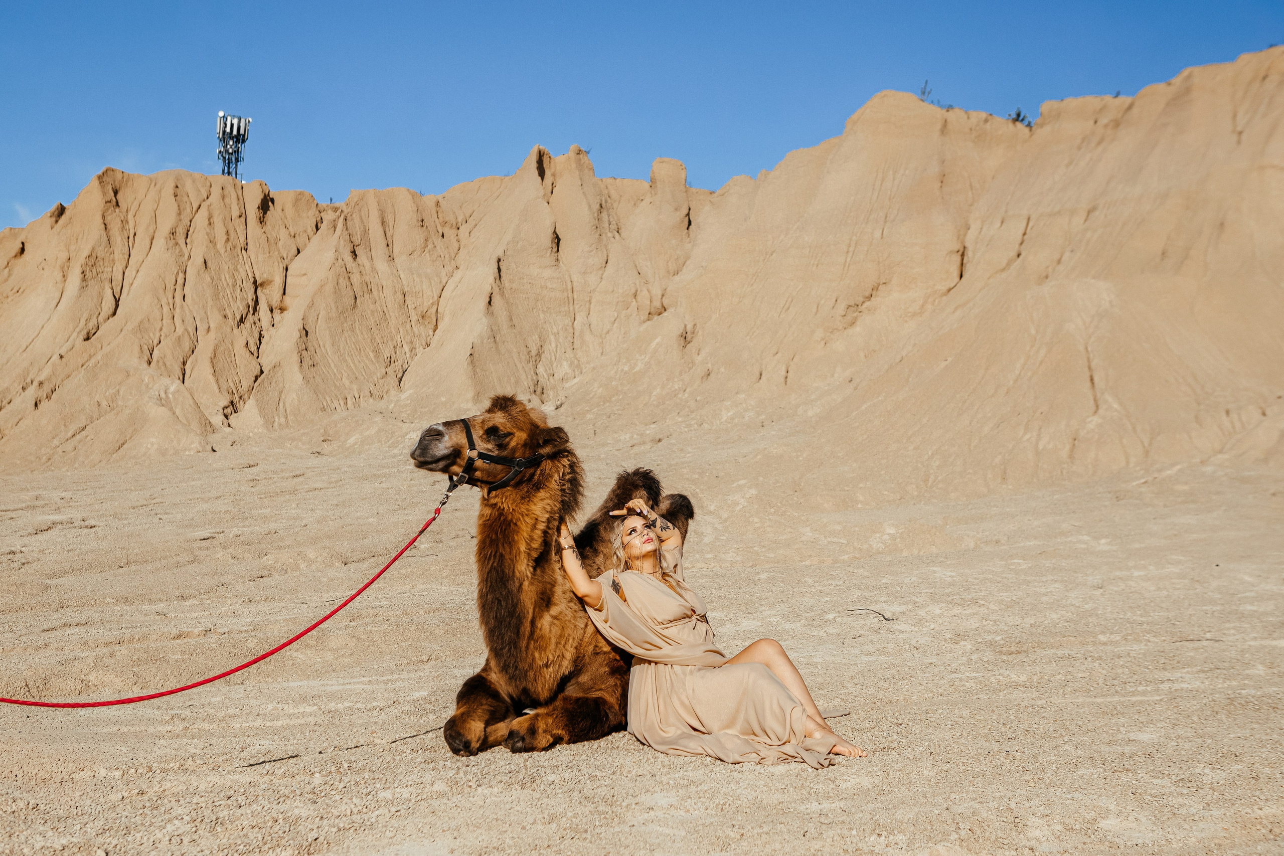 Девушки с верблюдом. Elena Sova — семейный и женский фотограф в Санкт-Петербурге