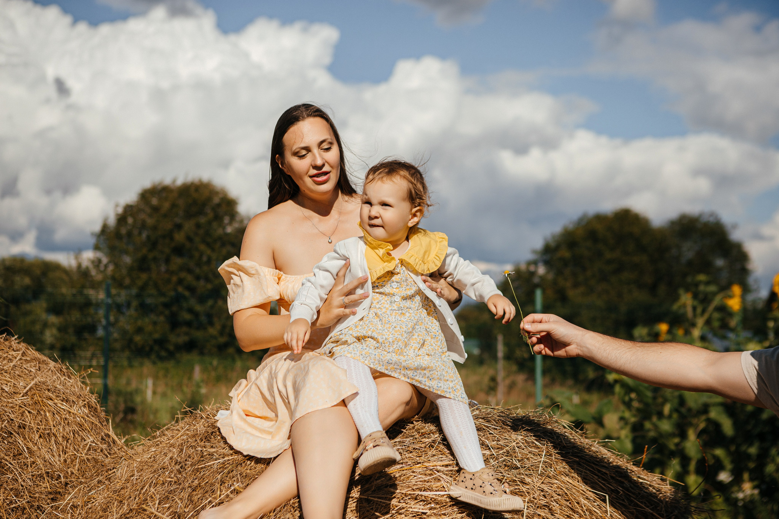 Семья в подсолнухах. Elena Sova — семейный и женский фотограф в Санкт-Петербурге
